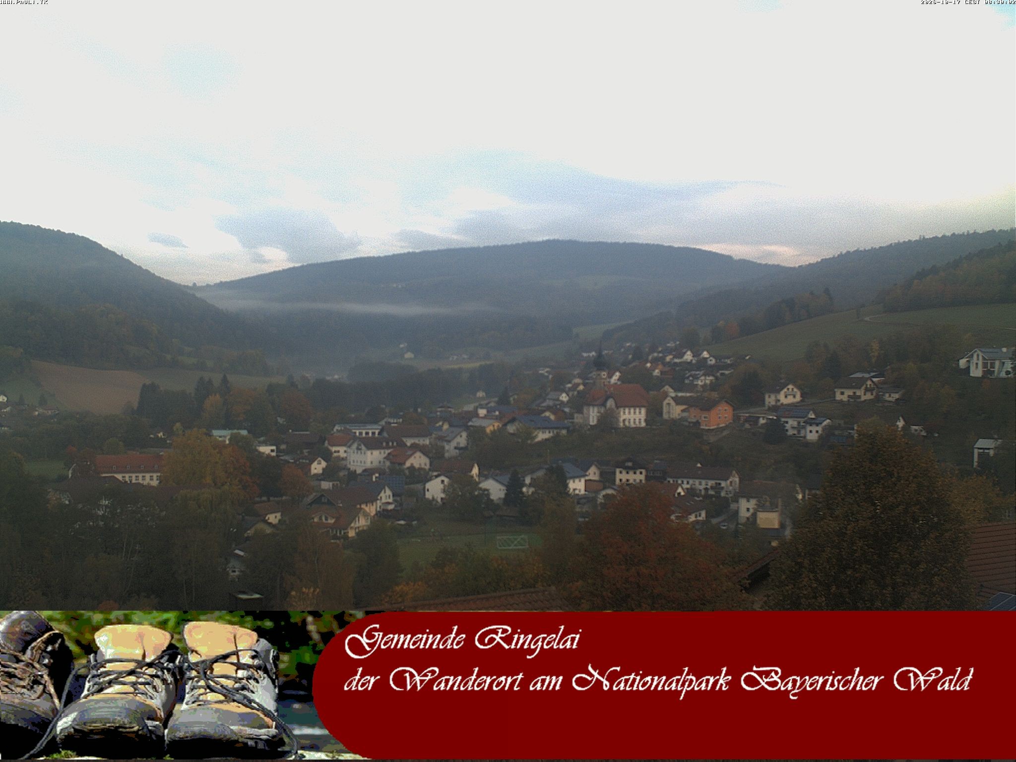 Archiv Foto Webcam Ringelai