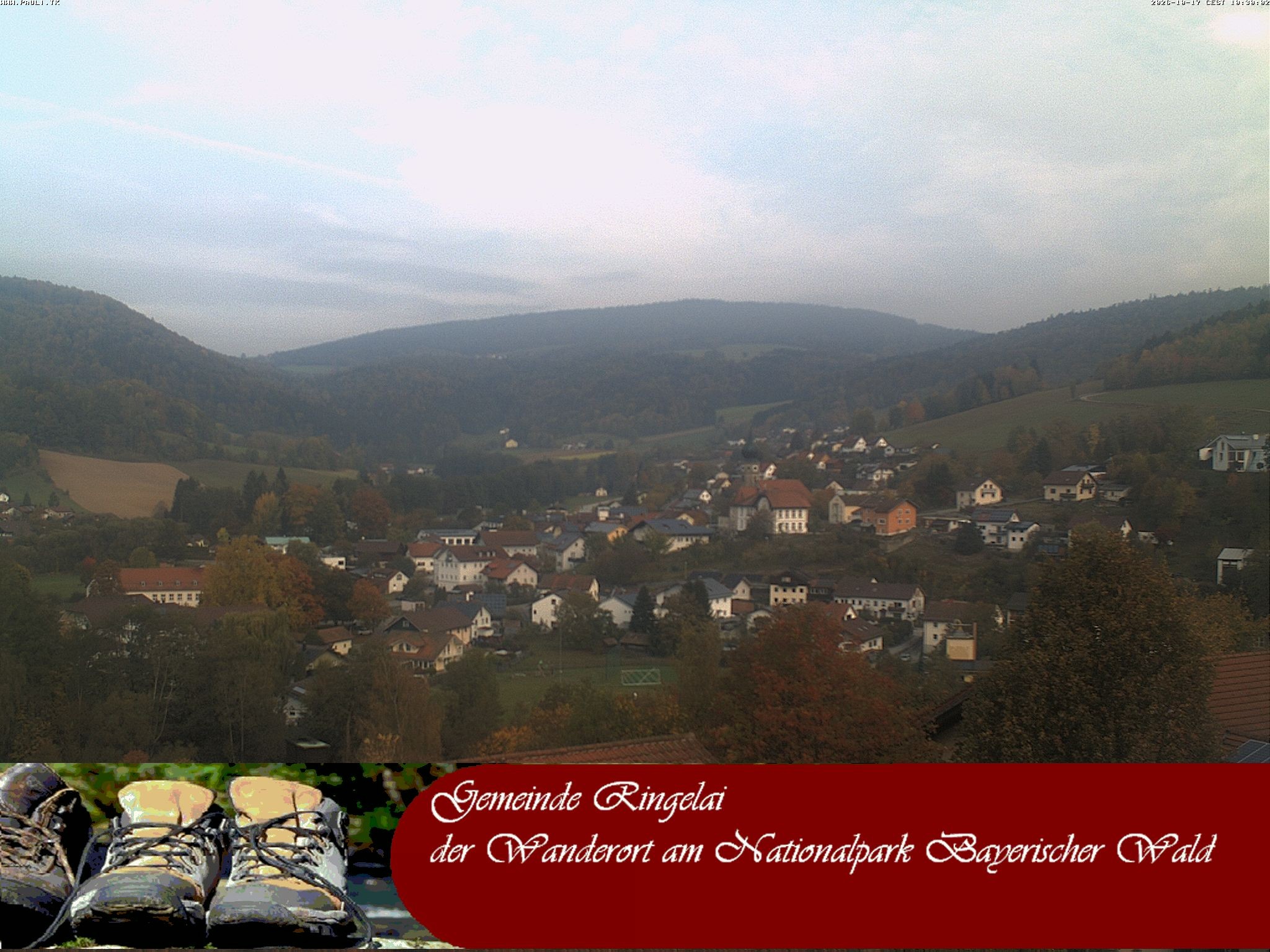 Archiv Foto Webcam Ringelai