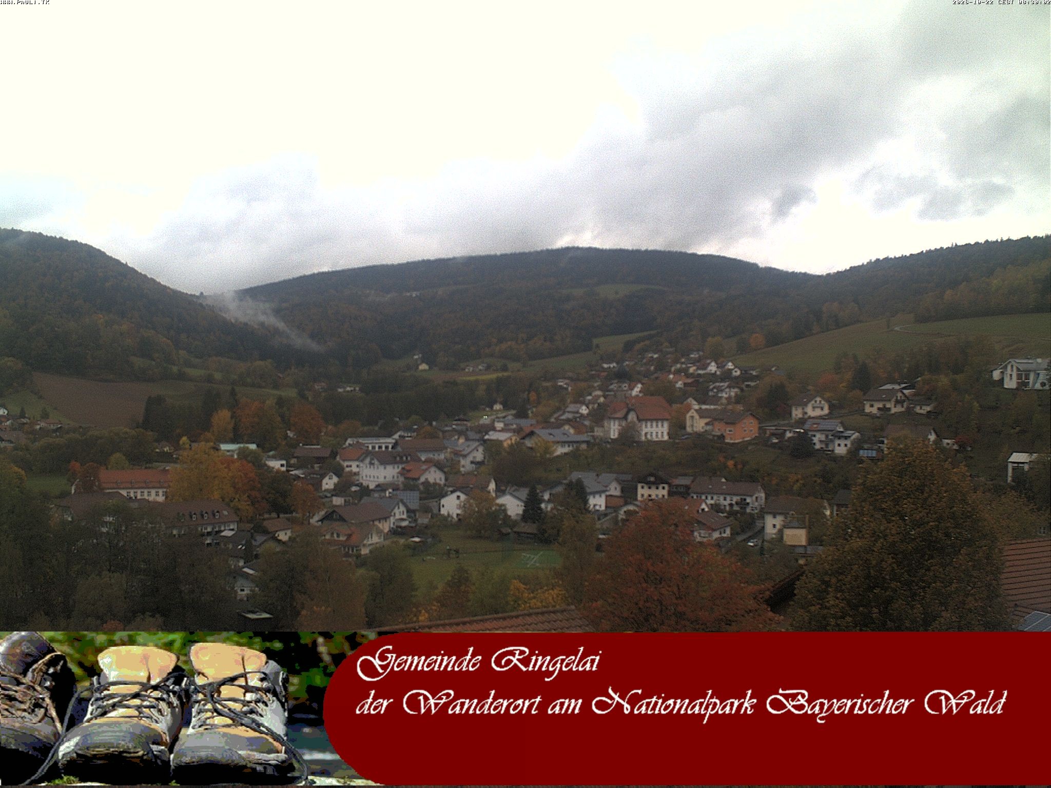 Archiv Foto Webcam Ringelai