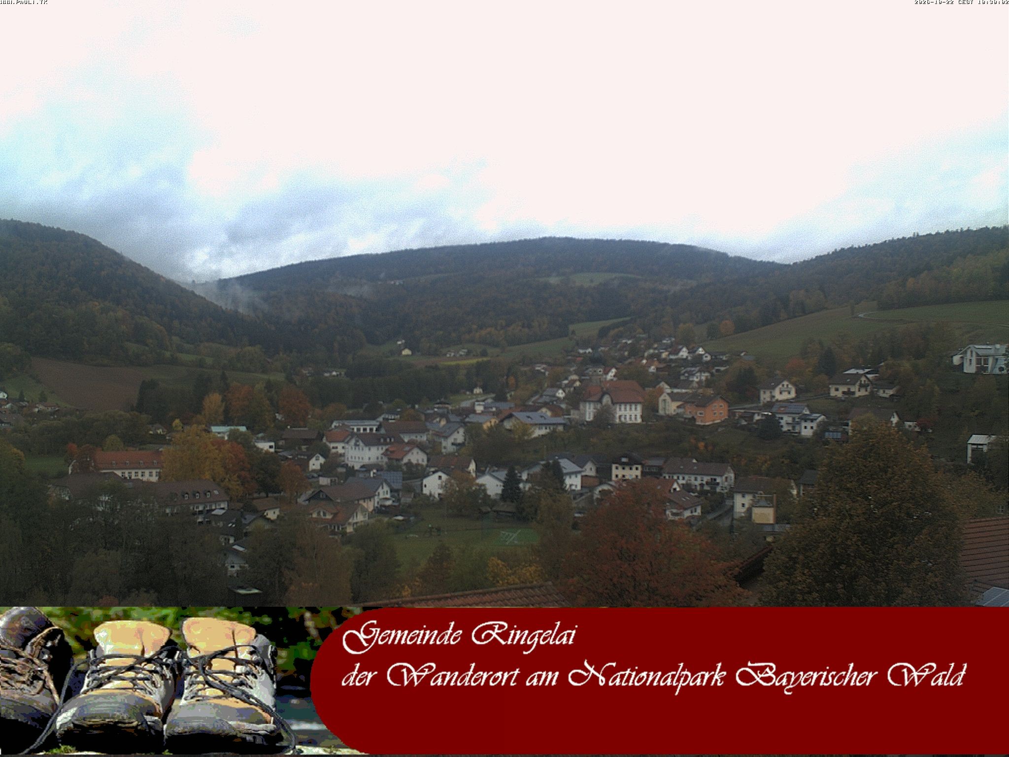 Archiv Foto Webcam Ringelai