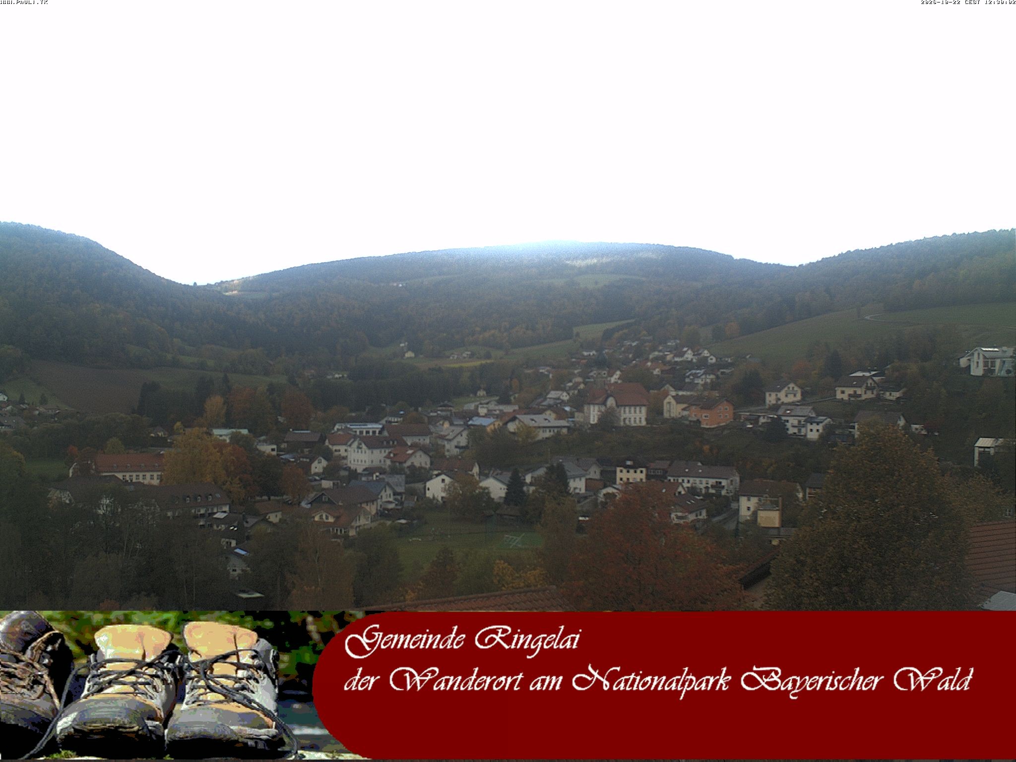 Archiv Foto Webcam Ringelai