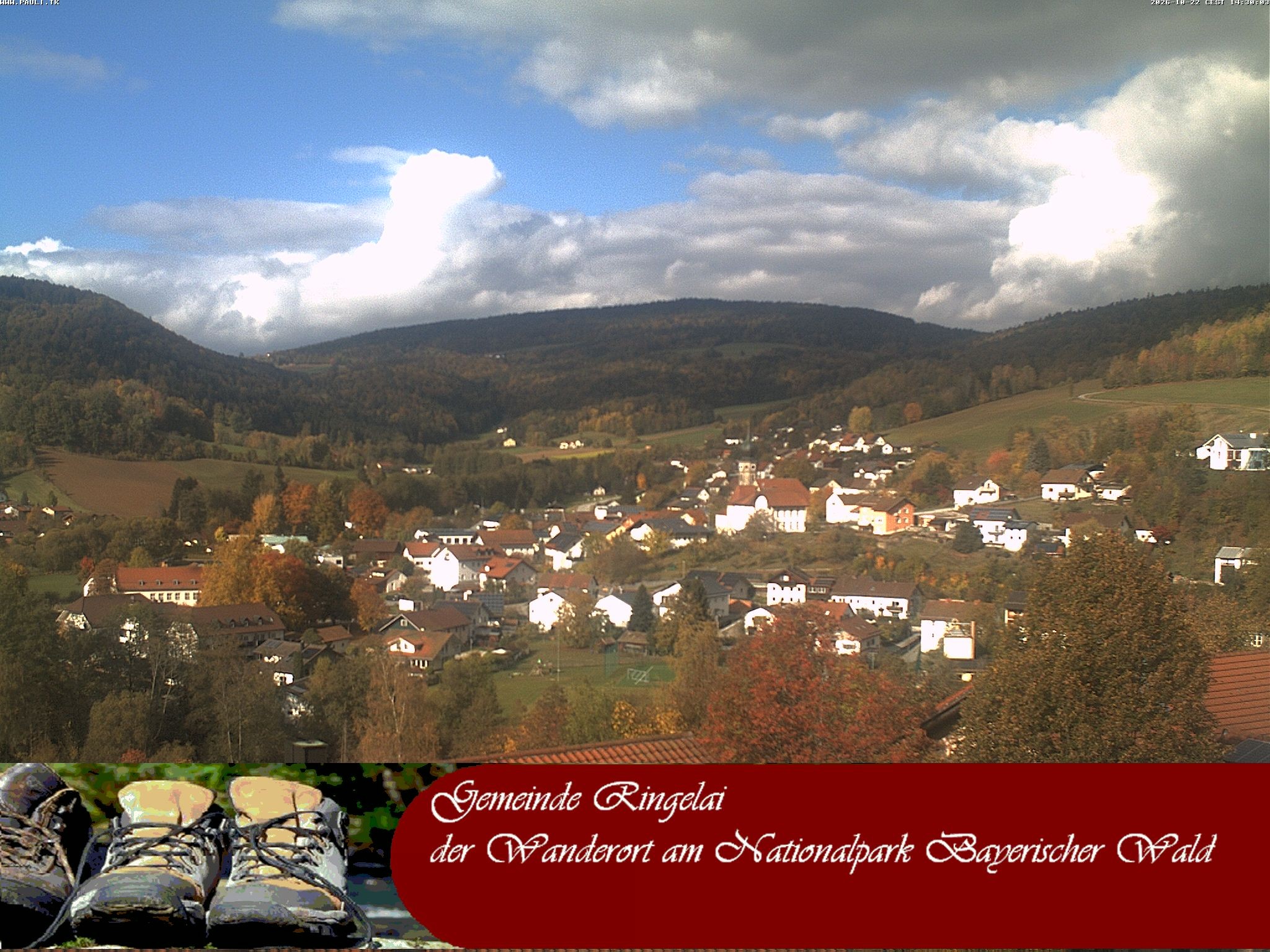 Archiv Foto Webcam Ringelai