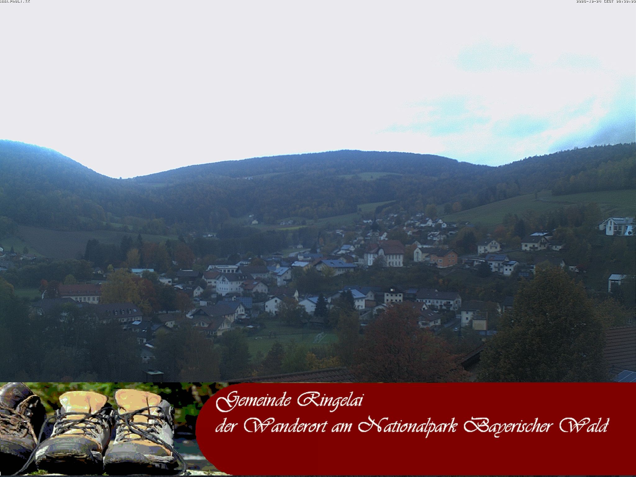 Archiv Foto Webcam Ringelai