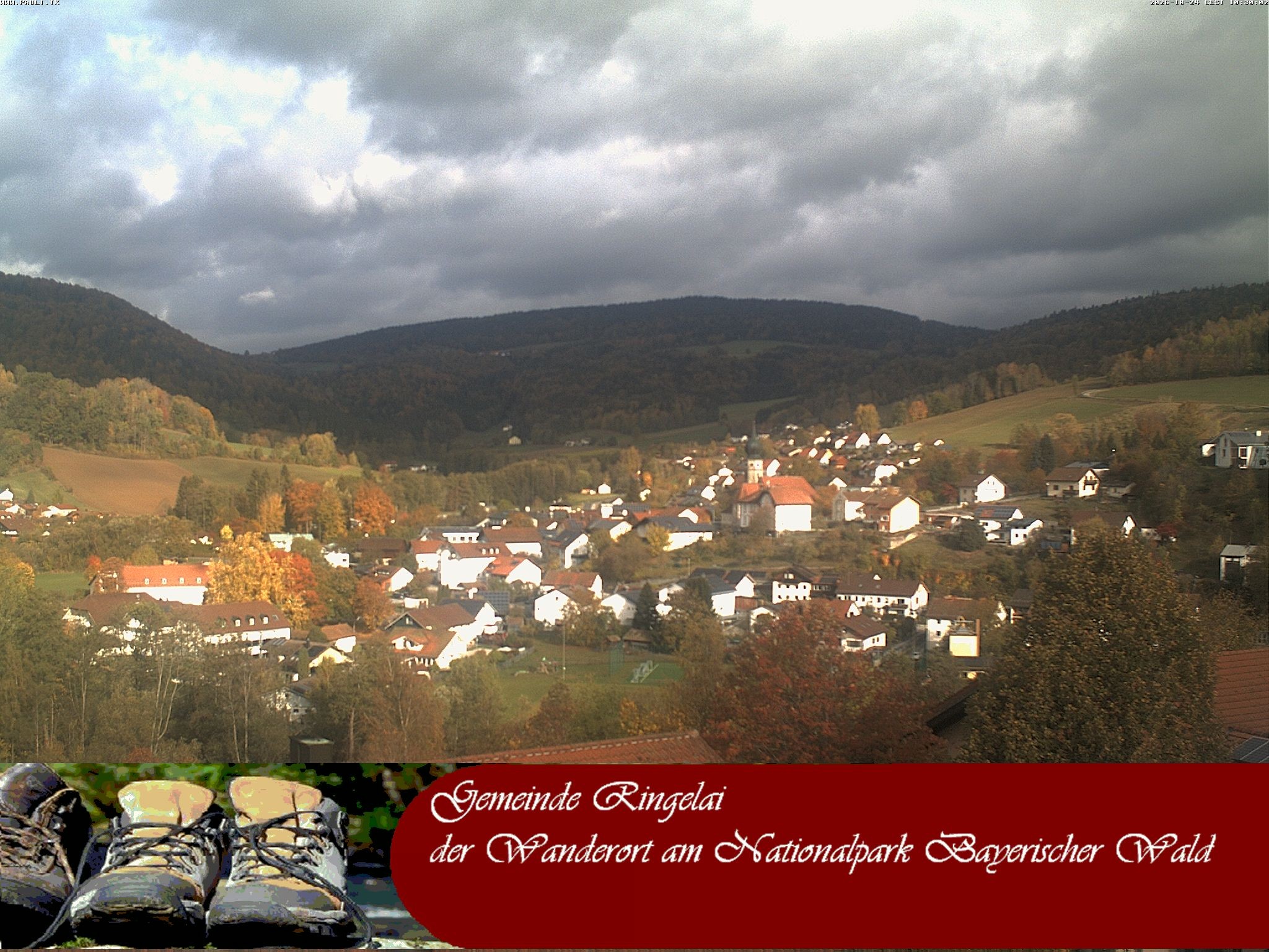 Archiv Foto Webcam Ringelai