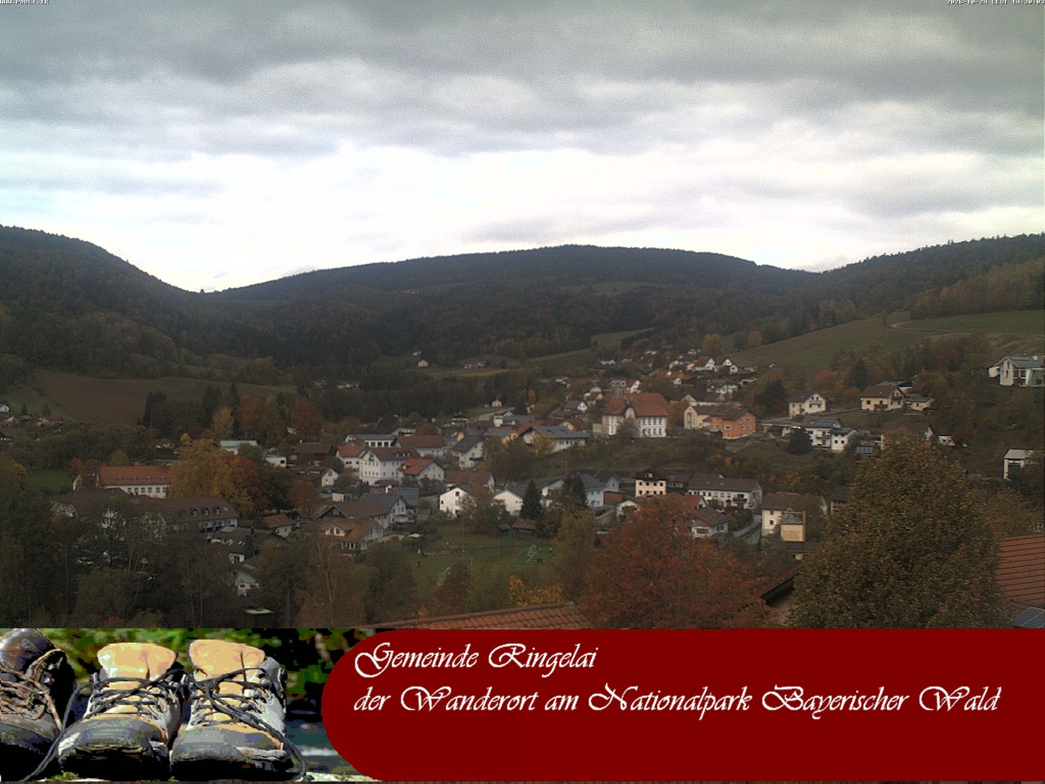 Archiv Foto Webcam Ringelai