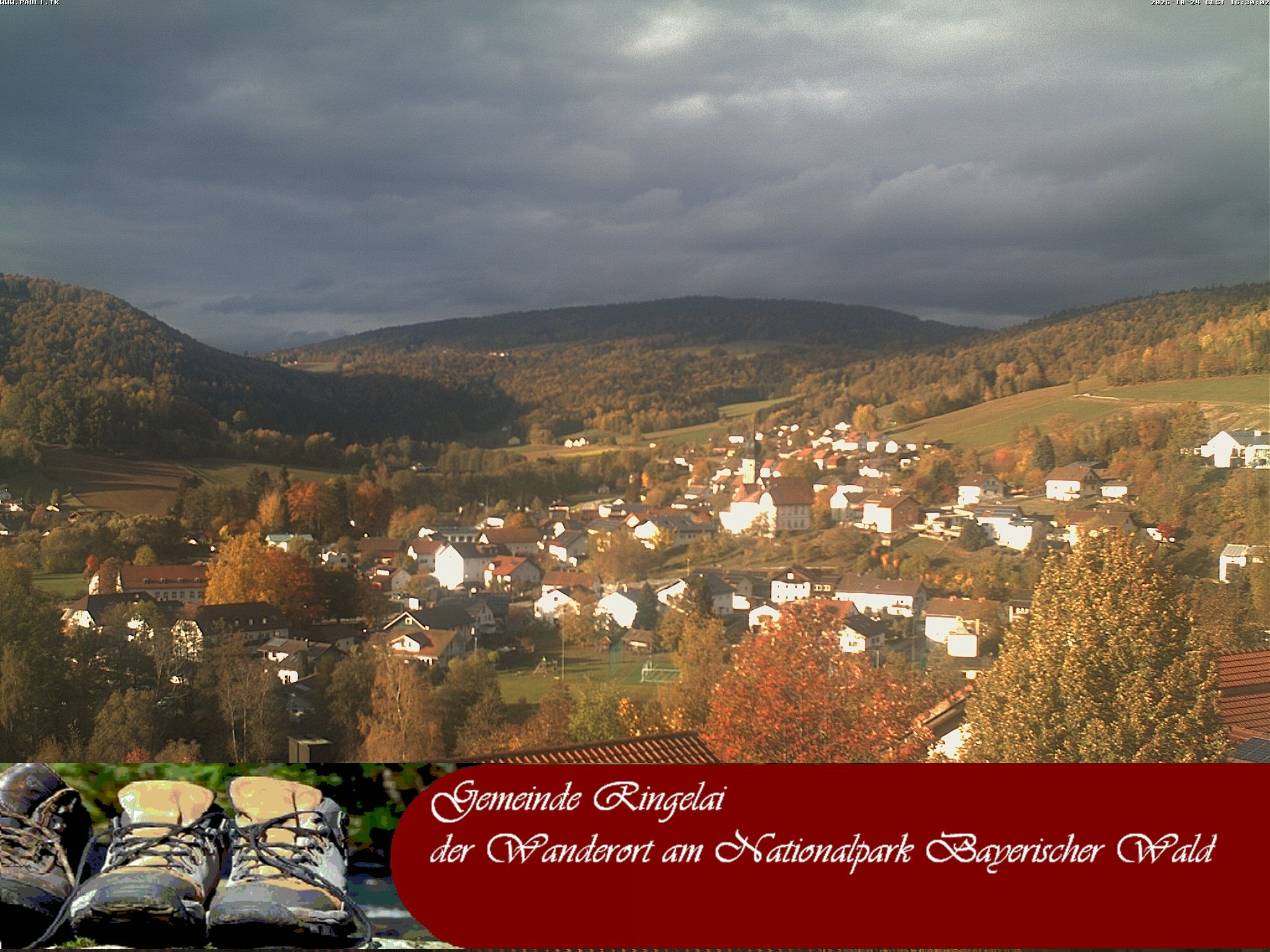 Archiv Foto Webcam Ringelai