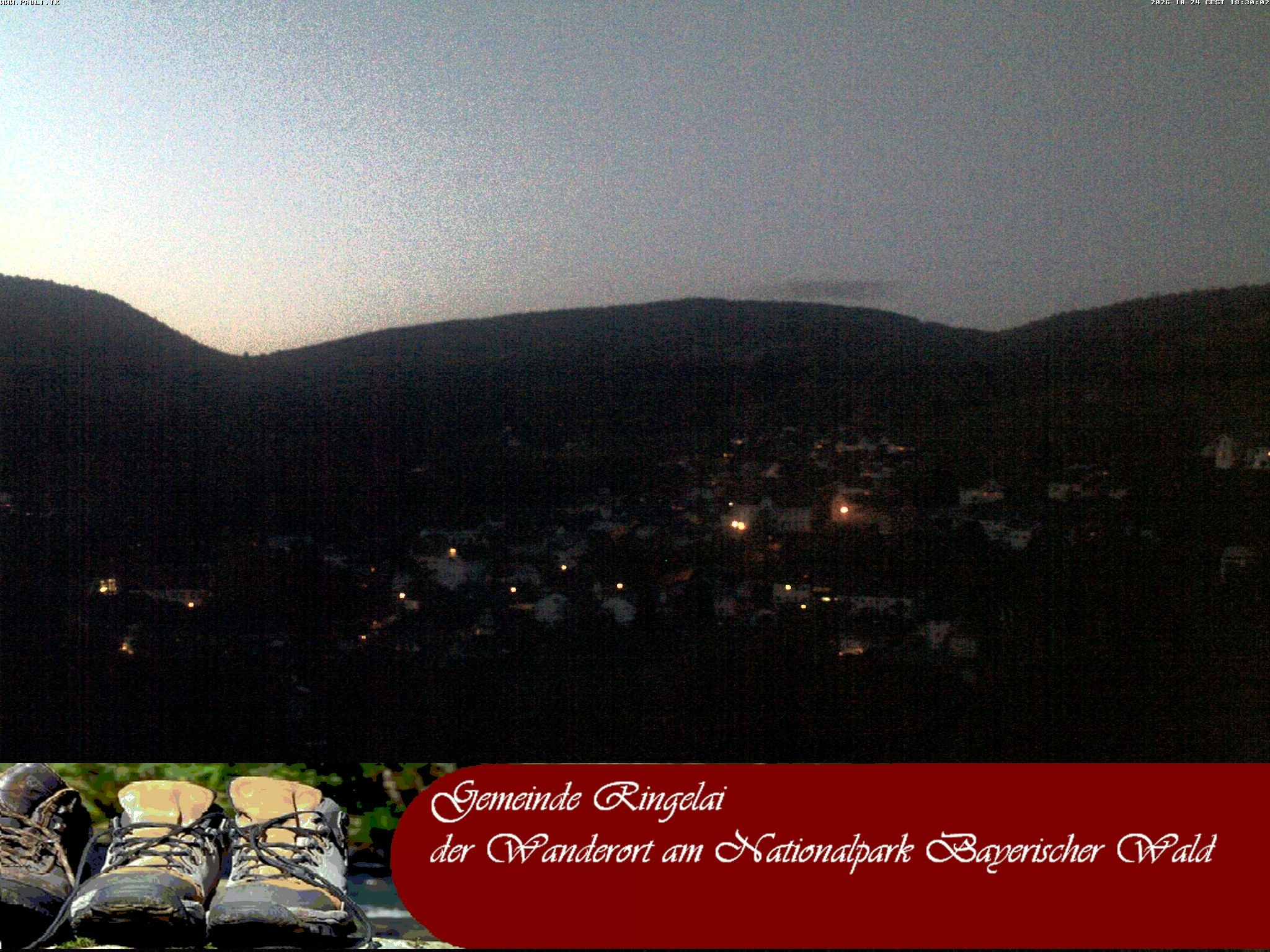 Archiv Foto Webcam Ringelai