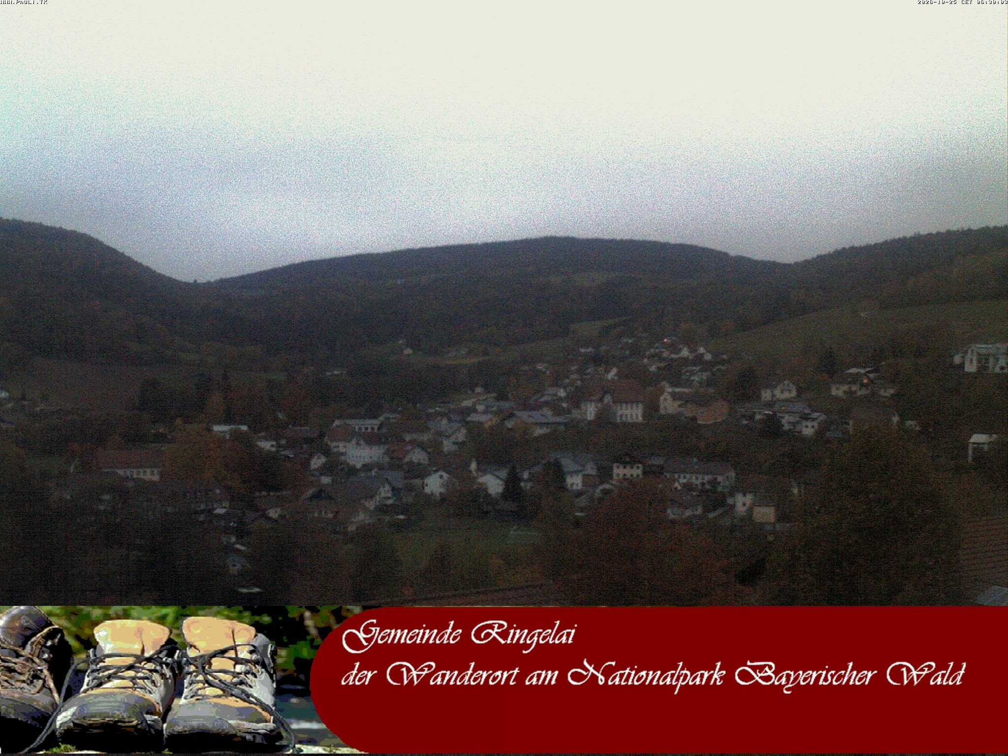 Archiv Foto Webcam Ringelai