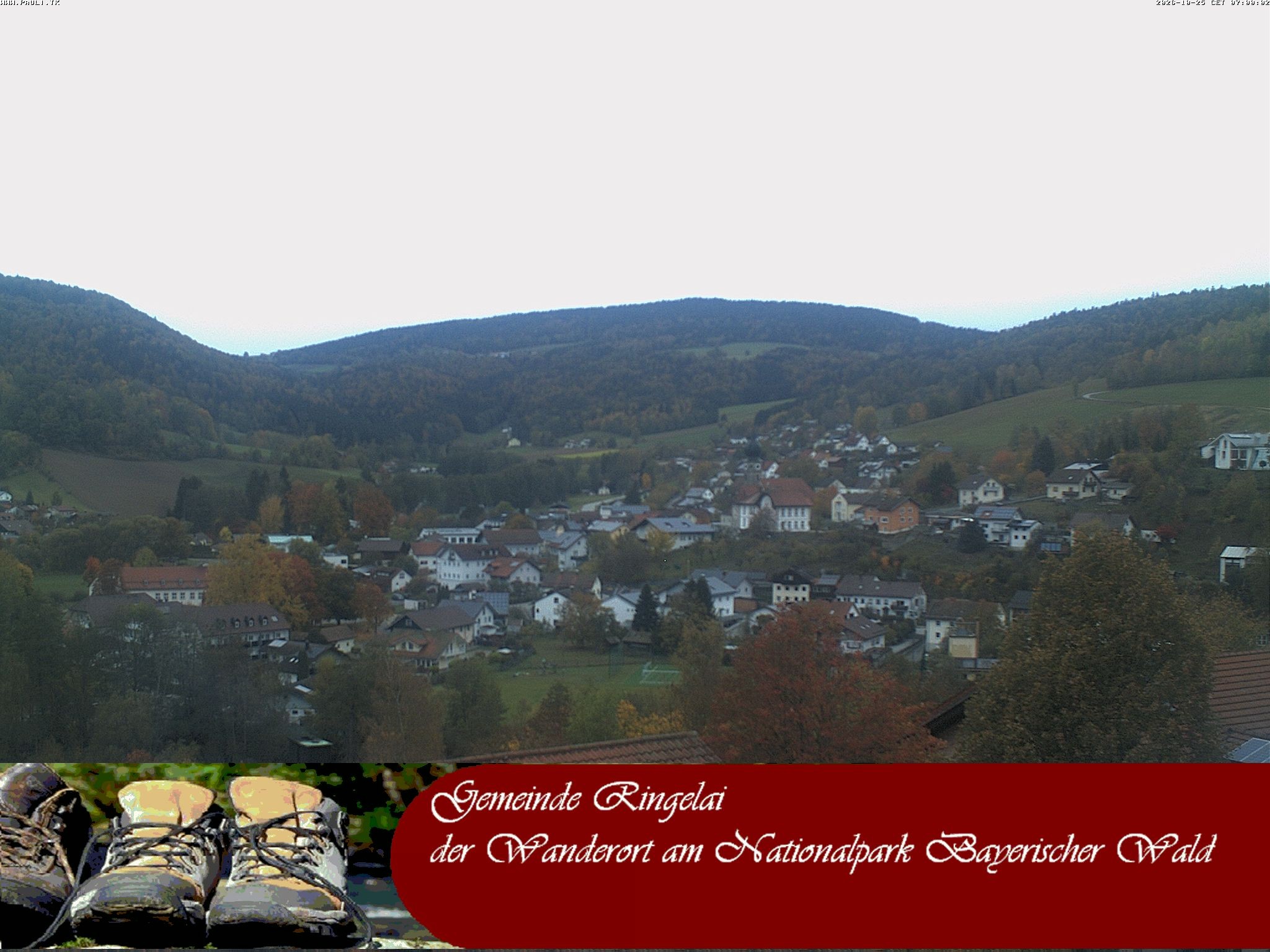 Archiv Foto Webcam Ringelai