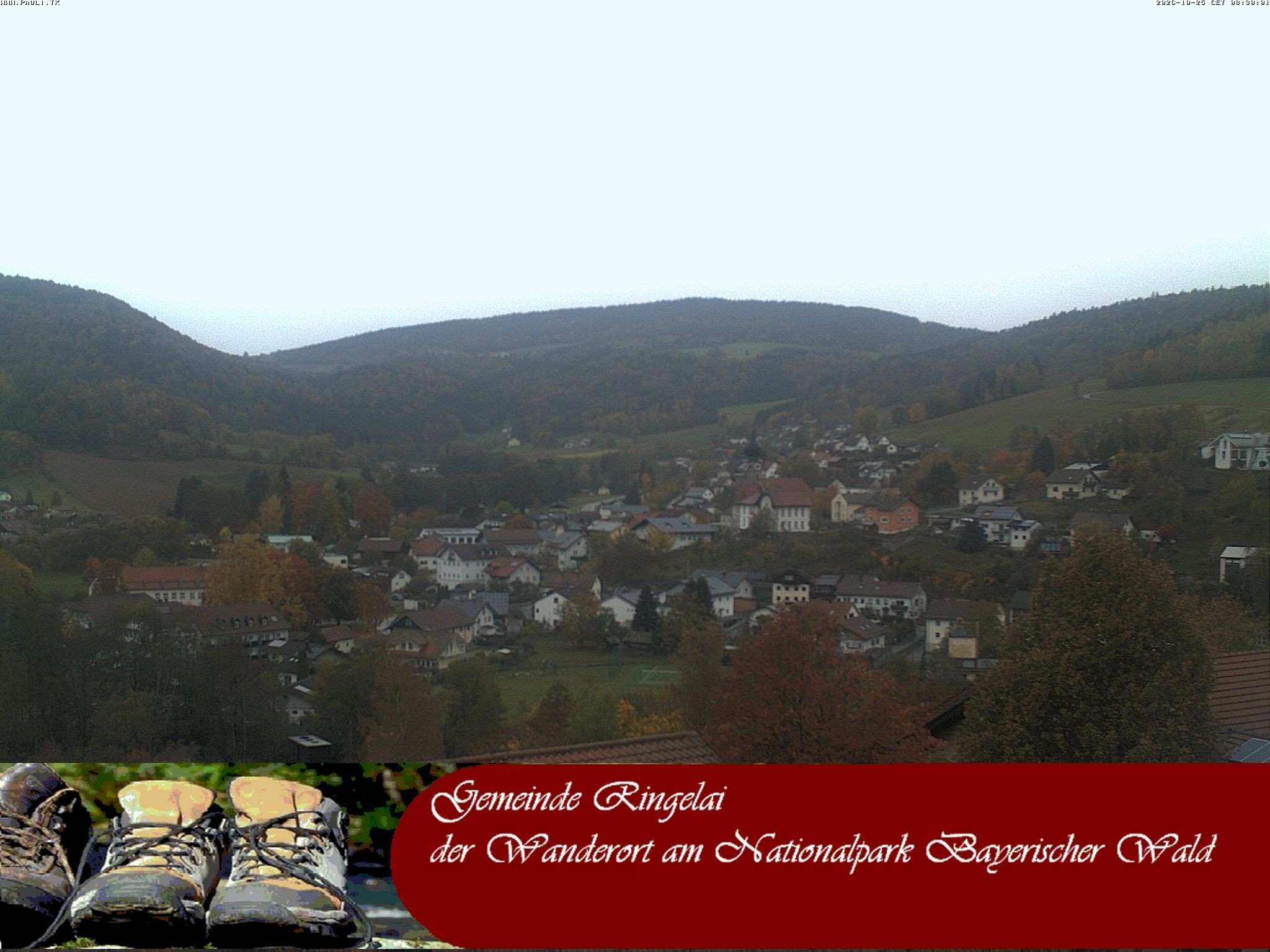 Archiv Foto Webcam Ringelai