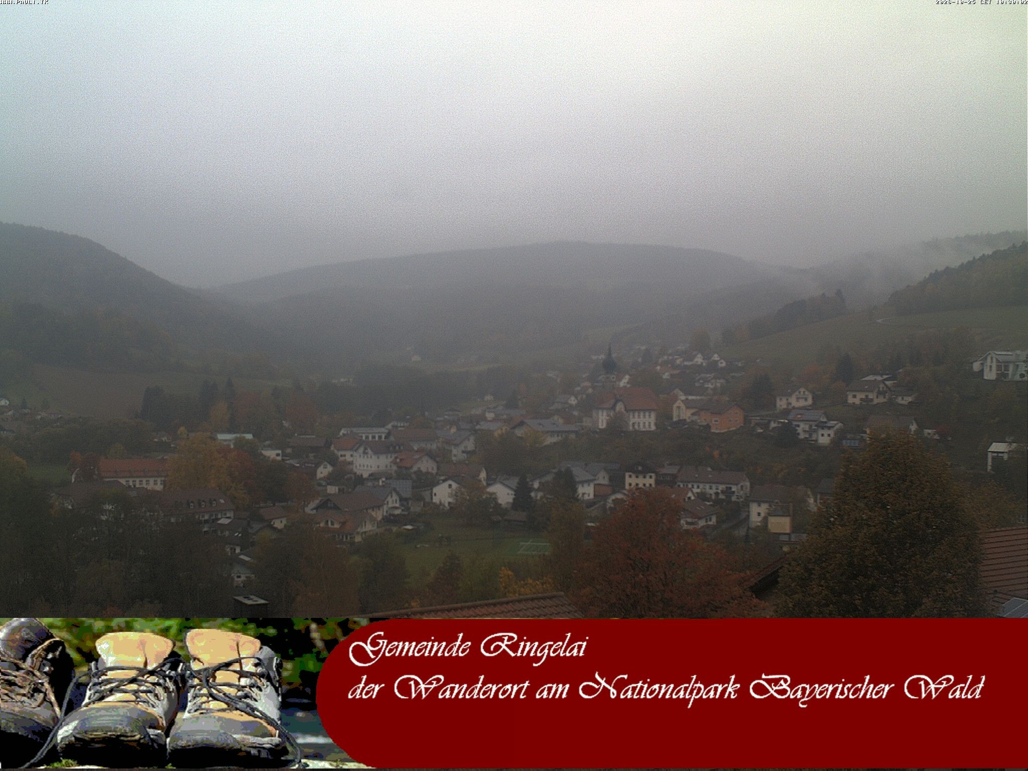 Archiv Foto Webcam Ringelai