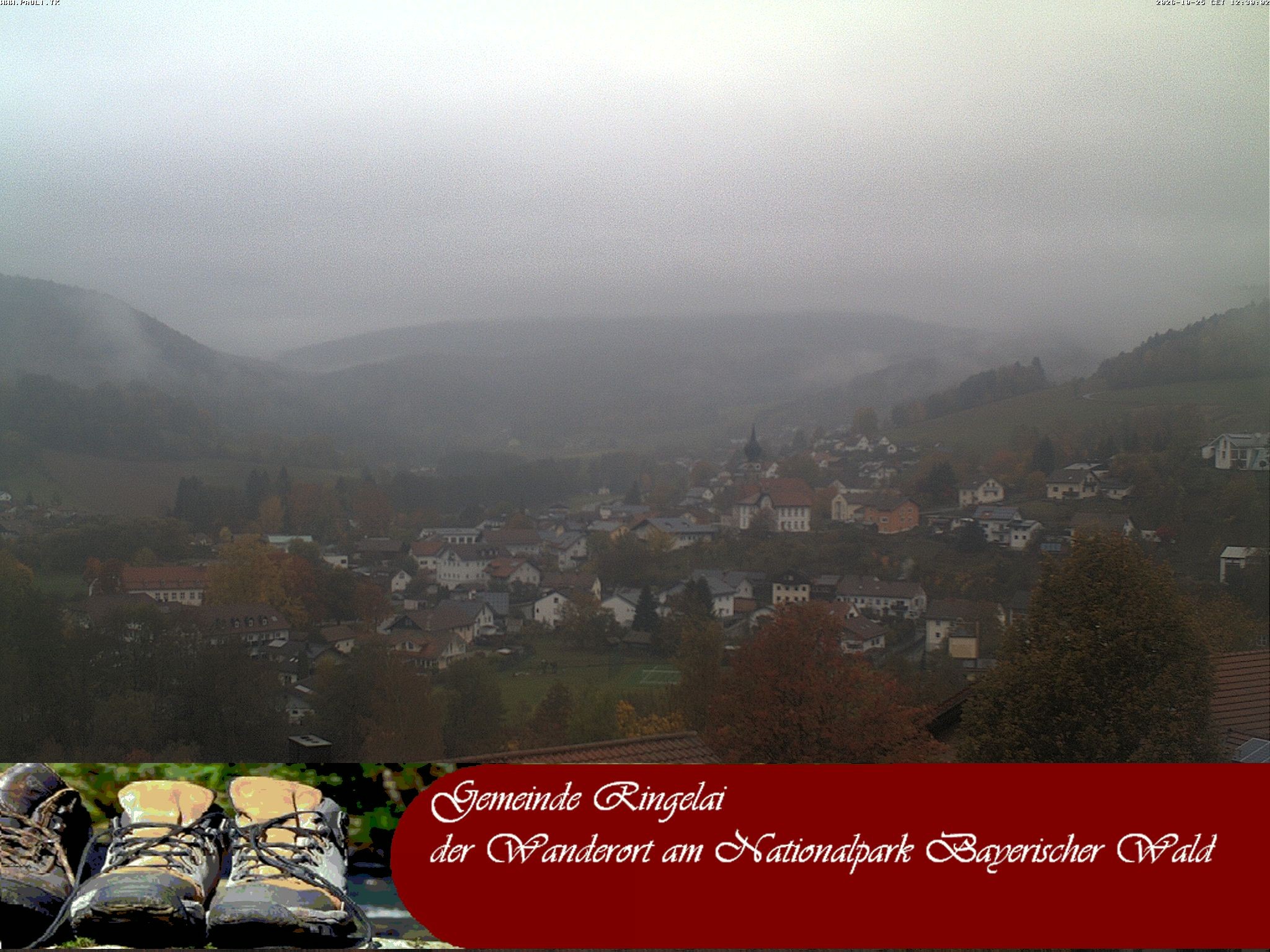 Archiv Foto Webcam Ringelai