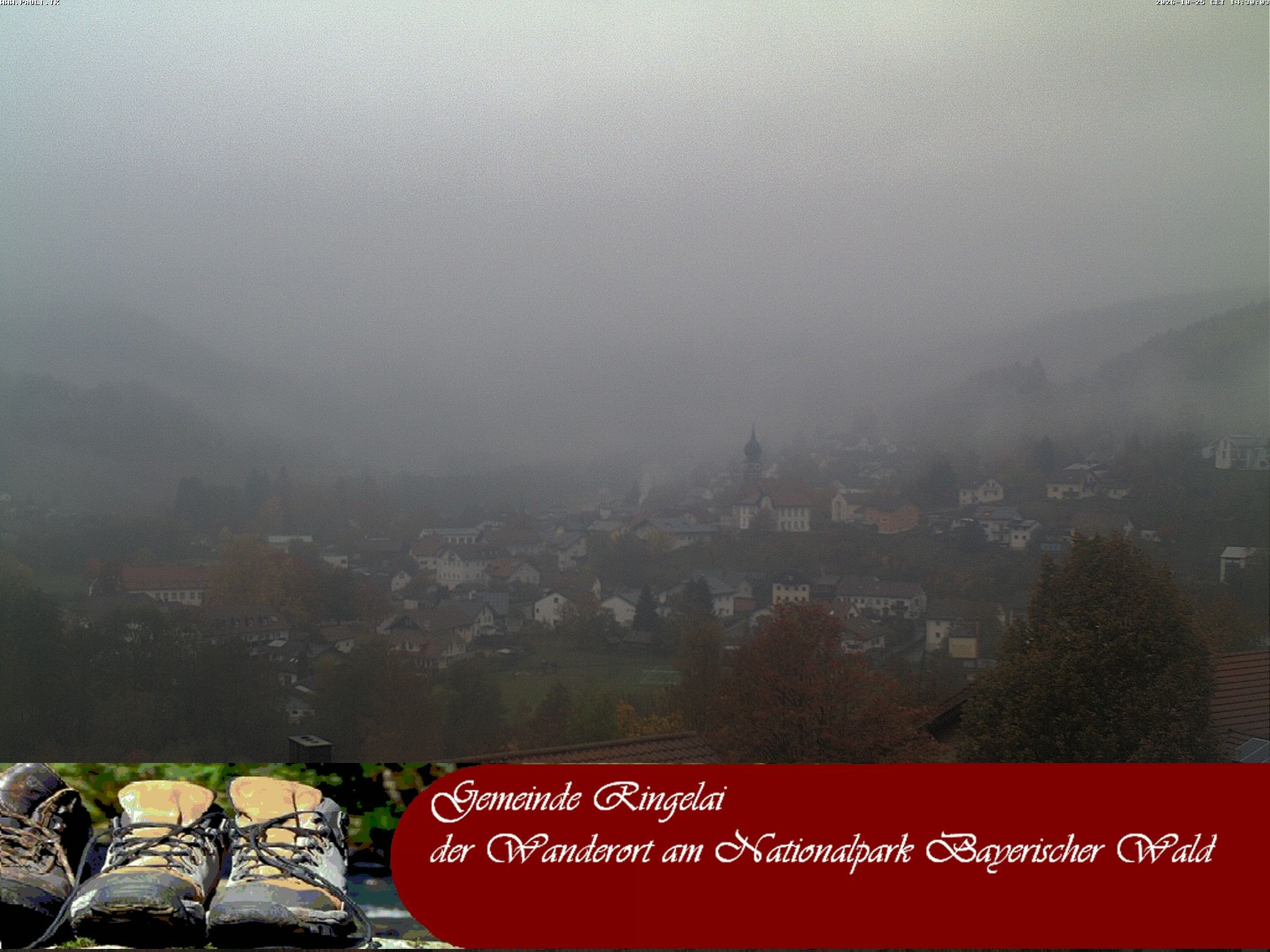 Archiv Foto Webcam Ringelai