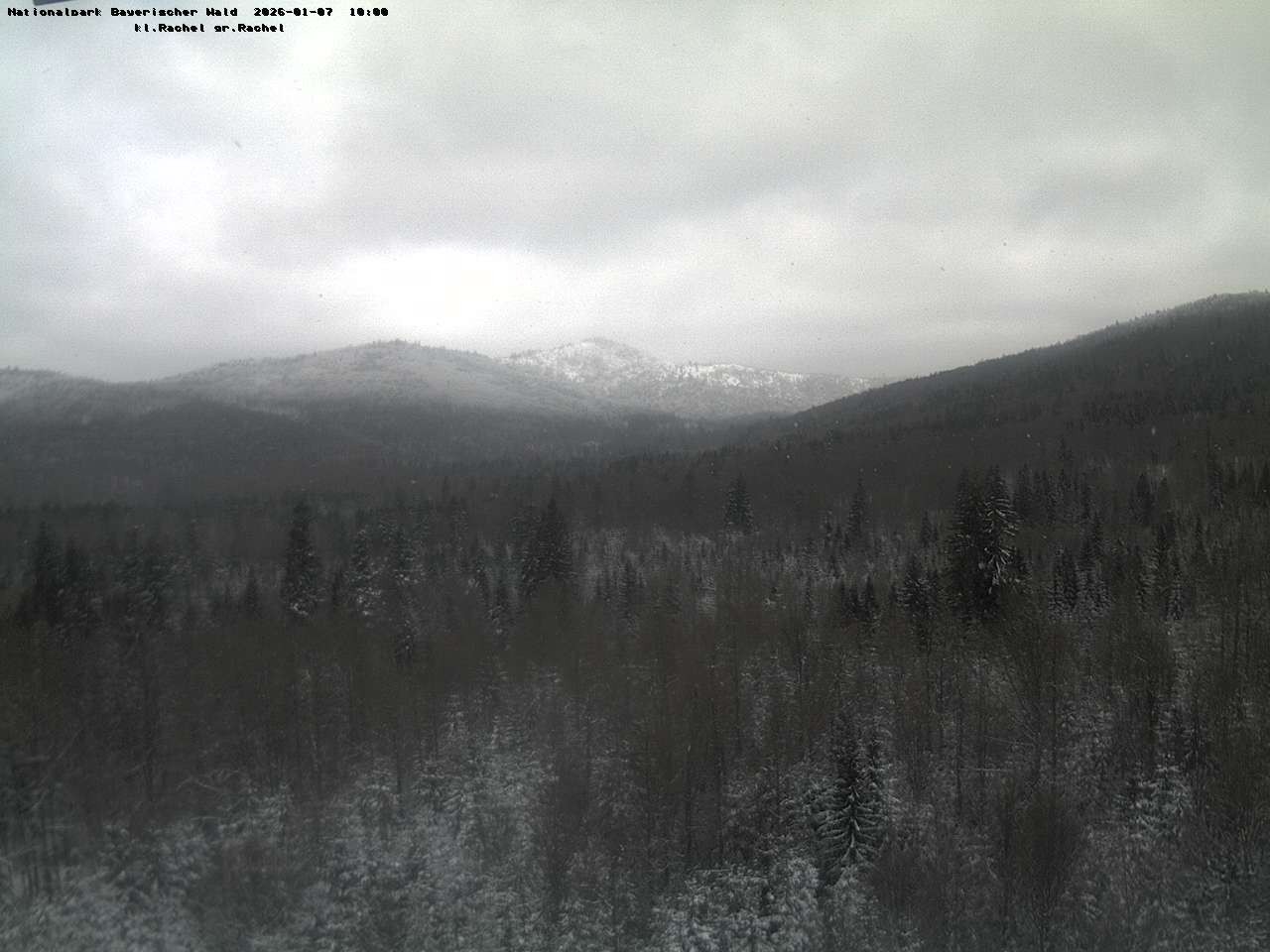 Archiv Foto Webcam Großer Rachel