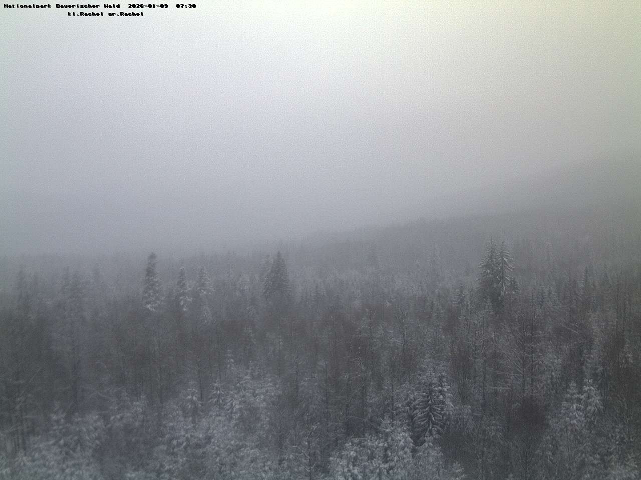 Archiv Foto Webcam Großer Rachel