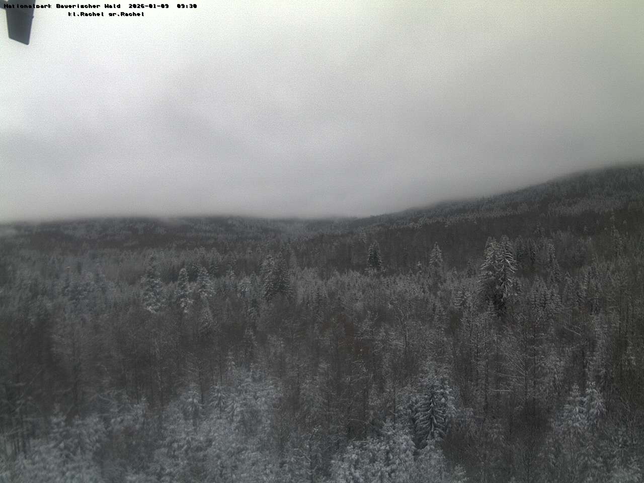 Archiv Foto Webcam Großer Rachel