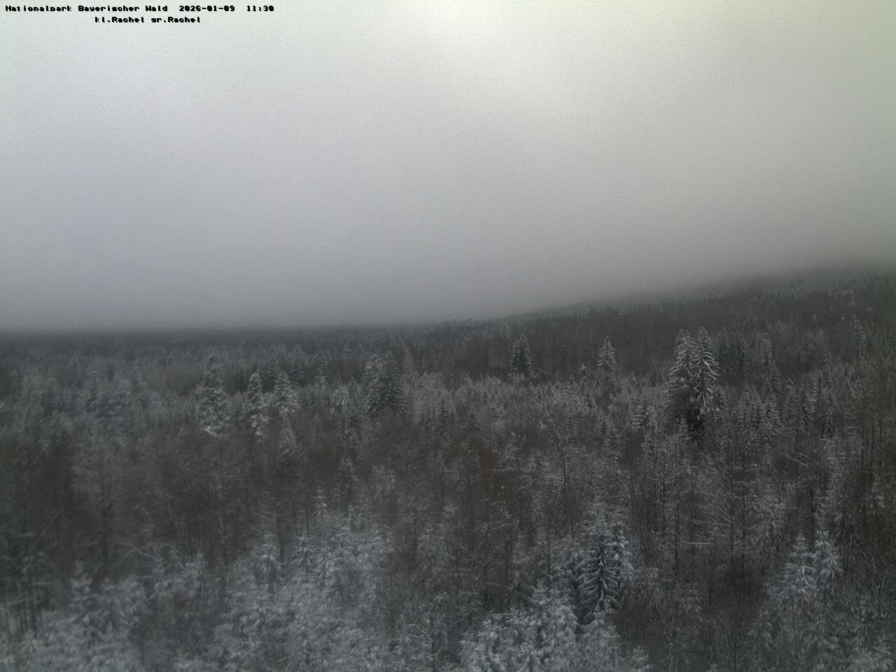 Archiv Foto Webcam Großer Rachel