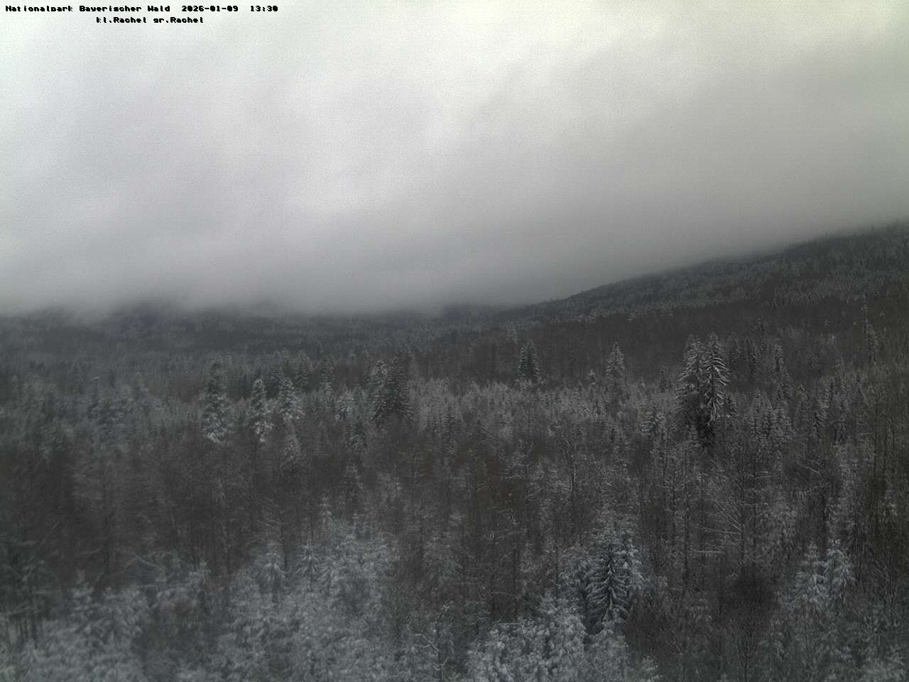 Archiv Foto Webcam Großer Rachel