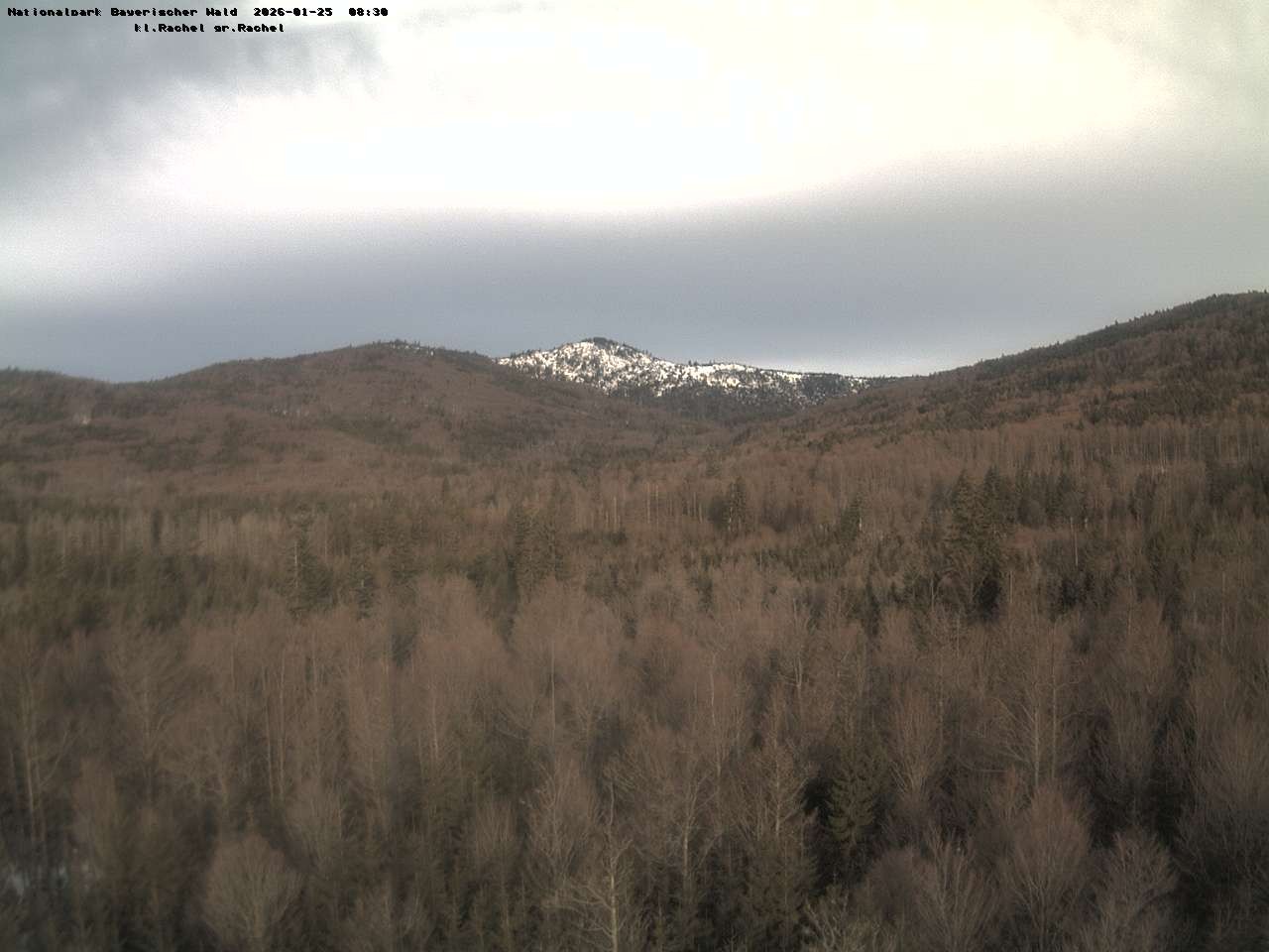 Archiv Foto Webcam Großer Rachel