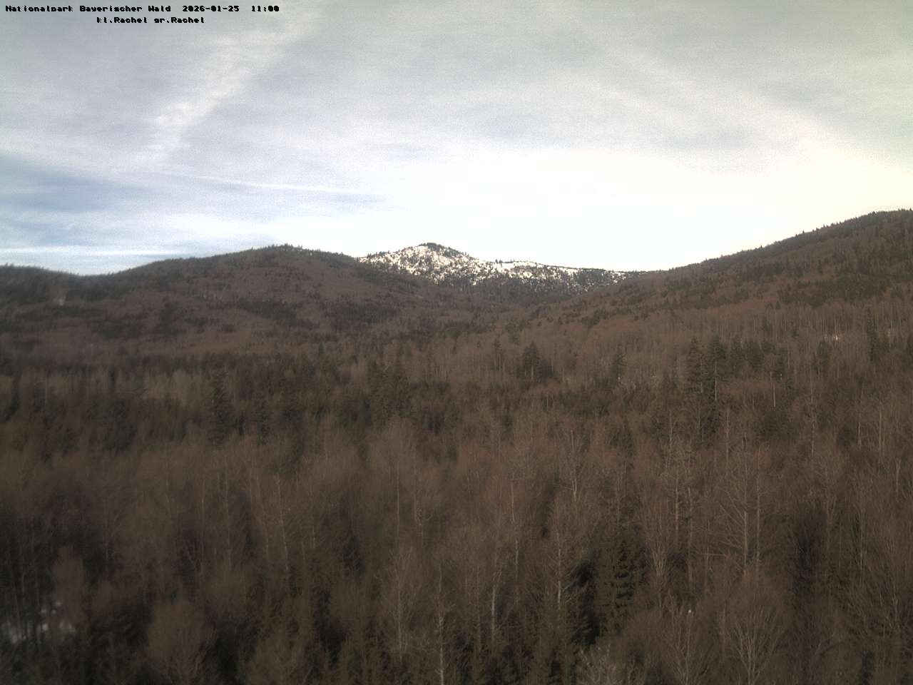 Archiv Foto Webcam Großer Rachel