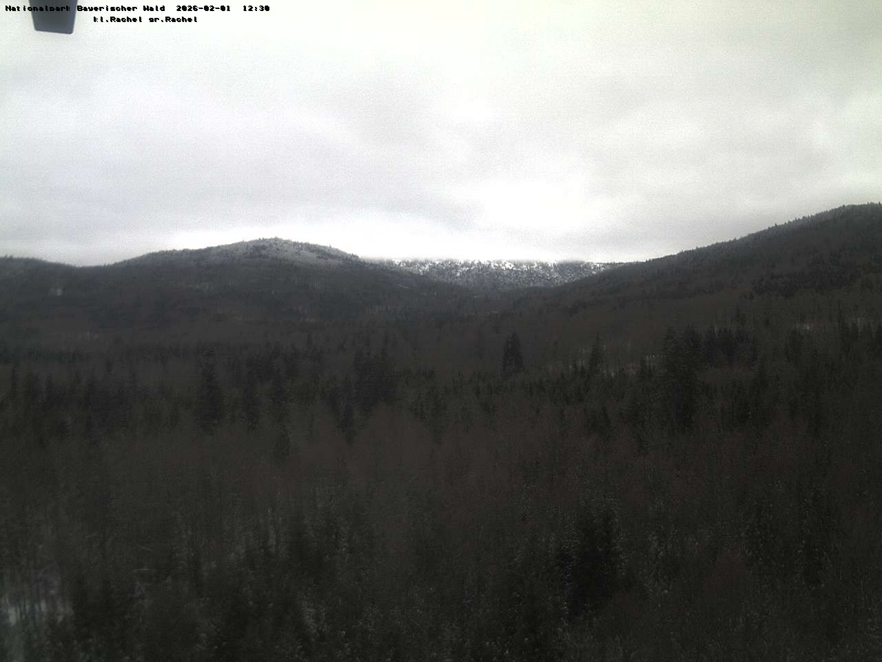 Archiv Foto Webcam Großer Rachel