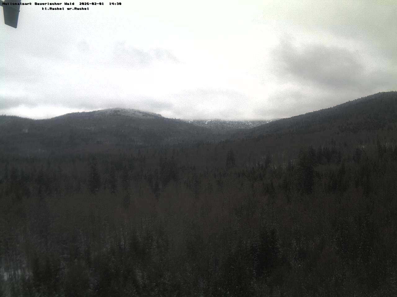 Archiv Foto Webcam Großer Rachel