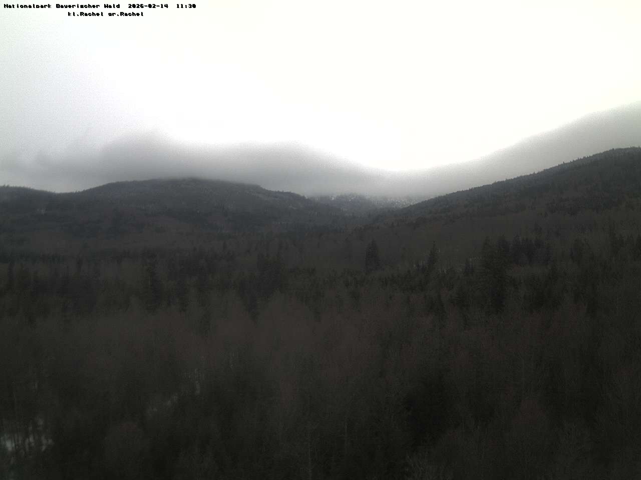 Archived image Webcam Großer Rachel summit