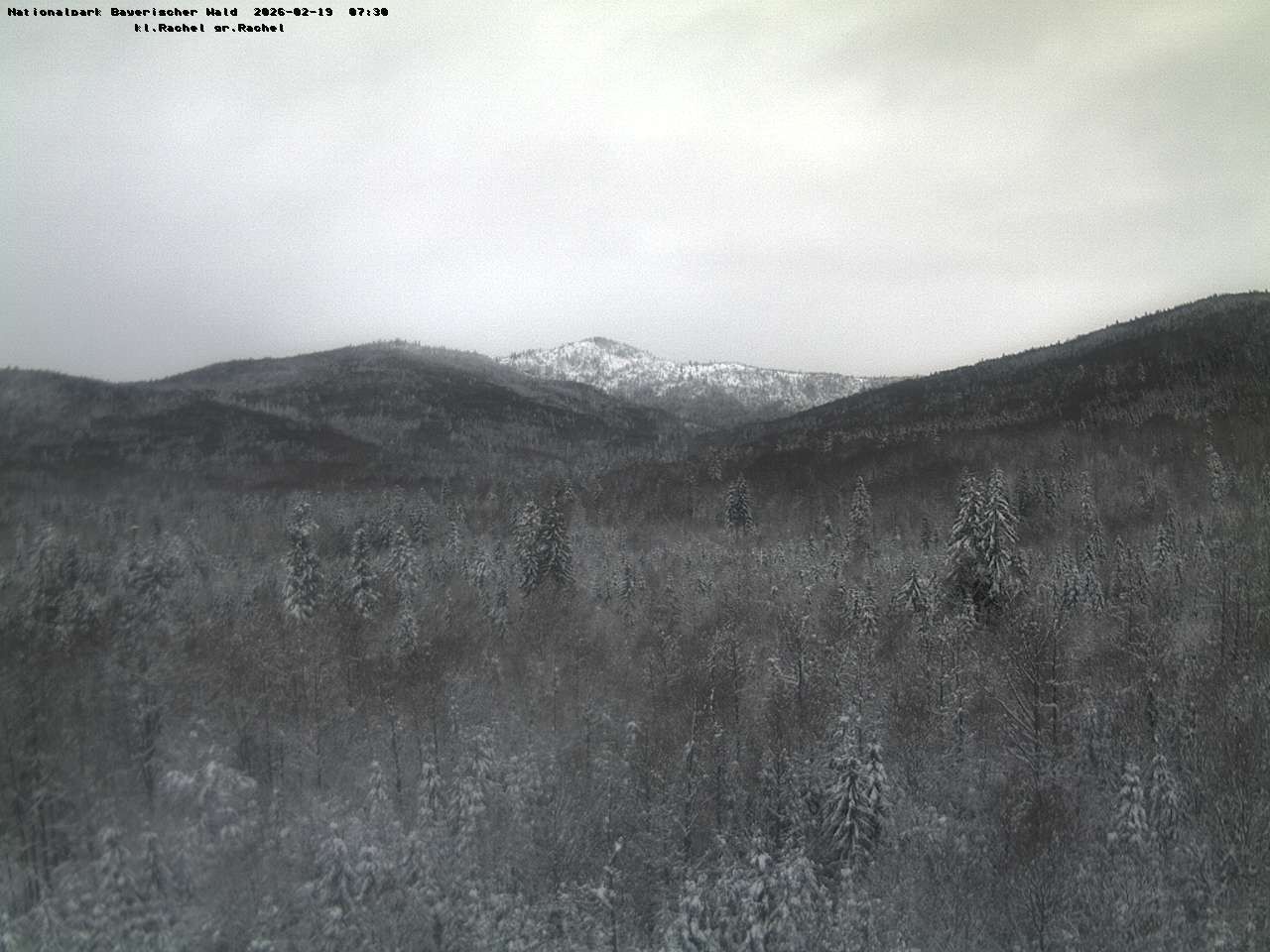 Archiv Foto Webcam Großer Rachel