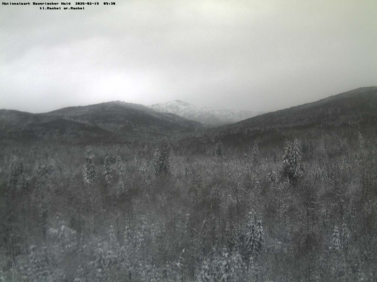 Archiv Foto Webcam Großer Rachel