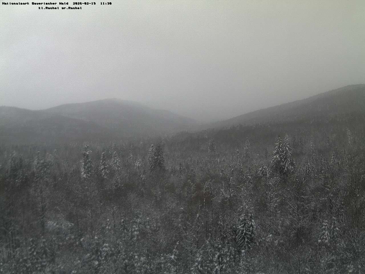 Archiv Foto Webcam Großer Rachel