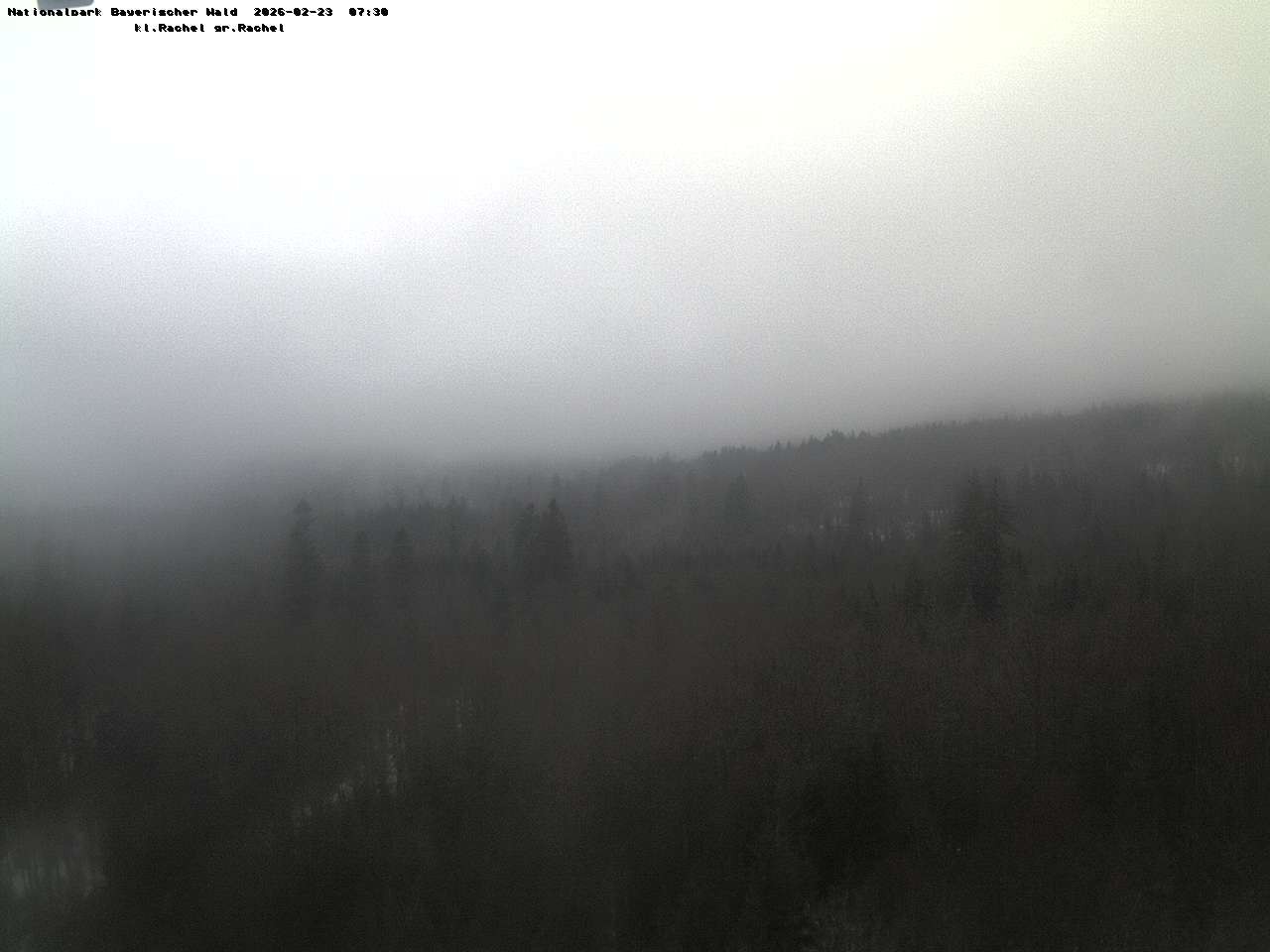 Archiv Foto Webcam Großer Rachel