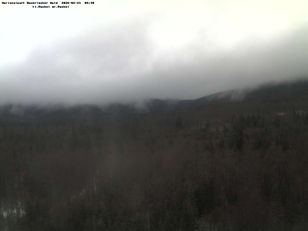 Archiv Foto Webcam Großer Rachel