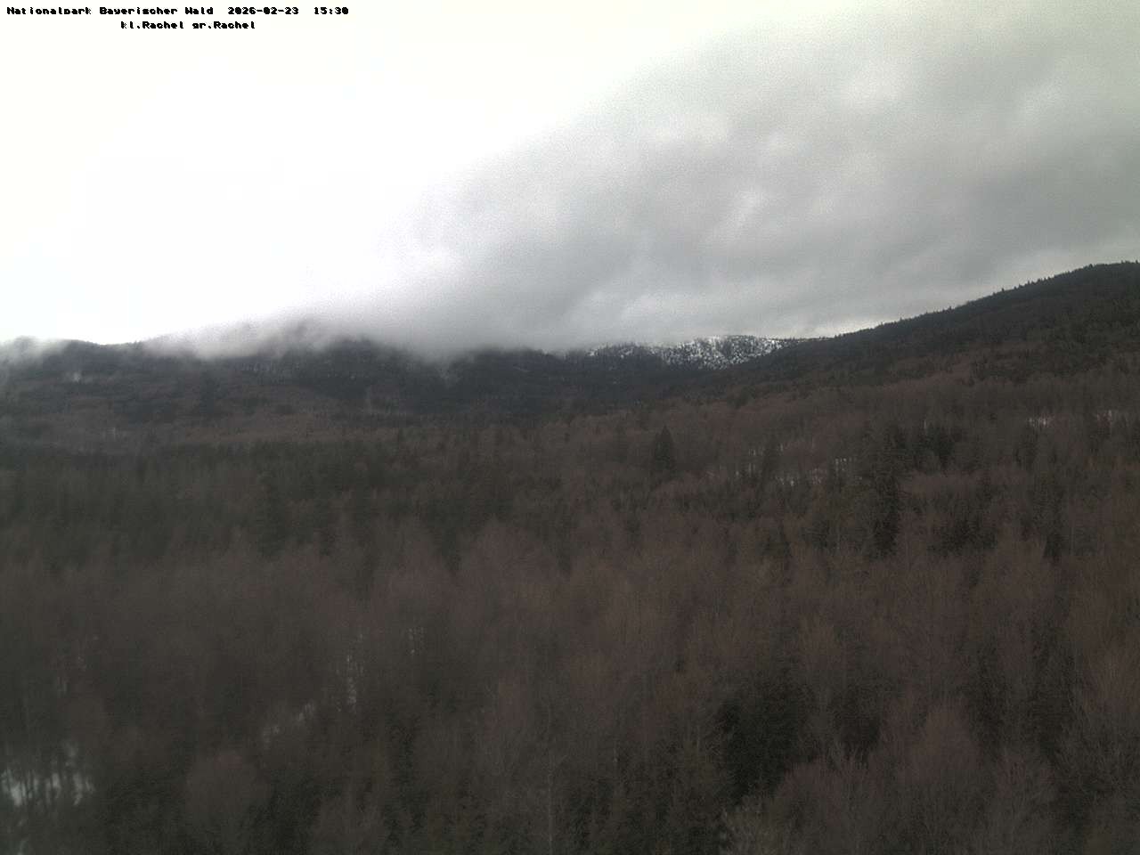 Archiv Foto Webcam Großer Rachel