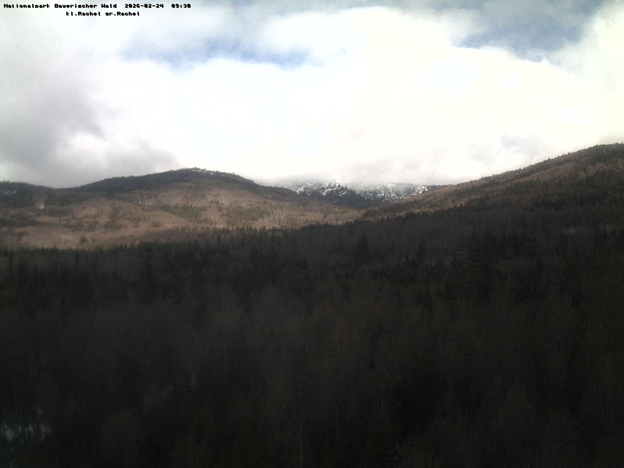 Archiv Foto Webcam Großer Rachel