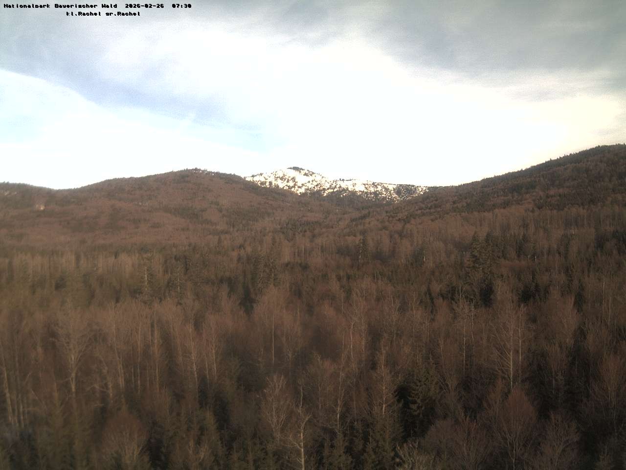 Archiv Foto Webcam Großer Rachel