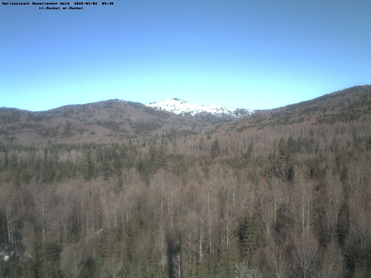 Archiv Foto Webcam Großer Rachel