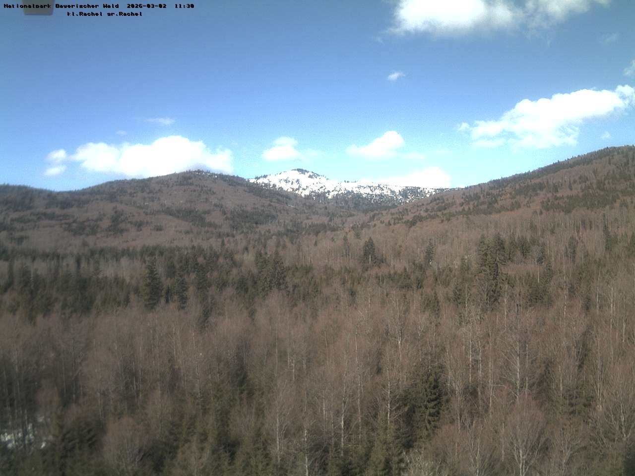 Archiv Foto Webcam Großer Rachel