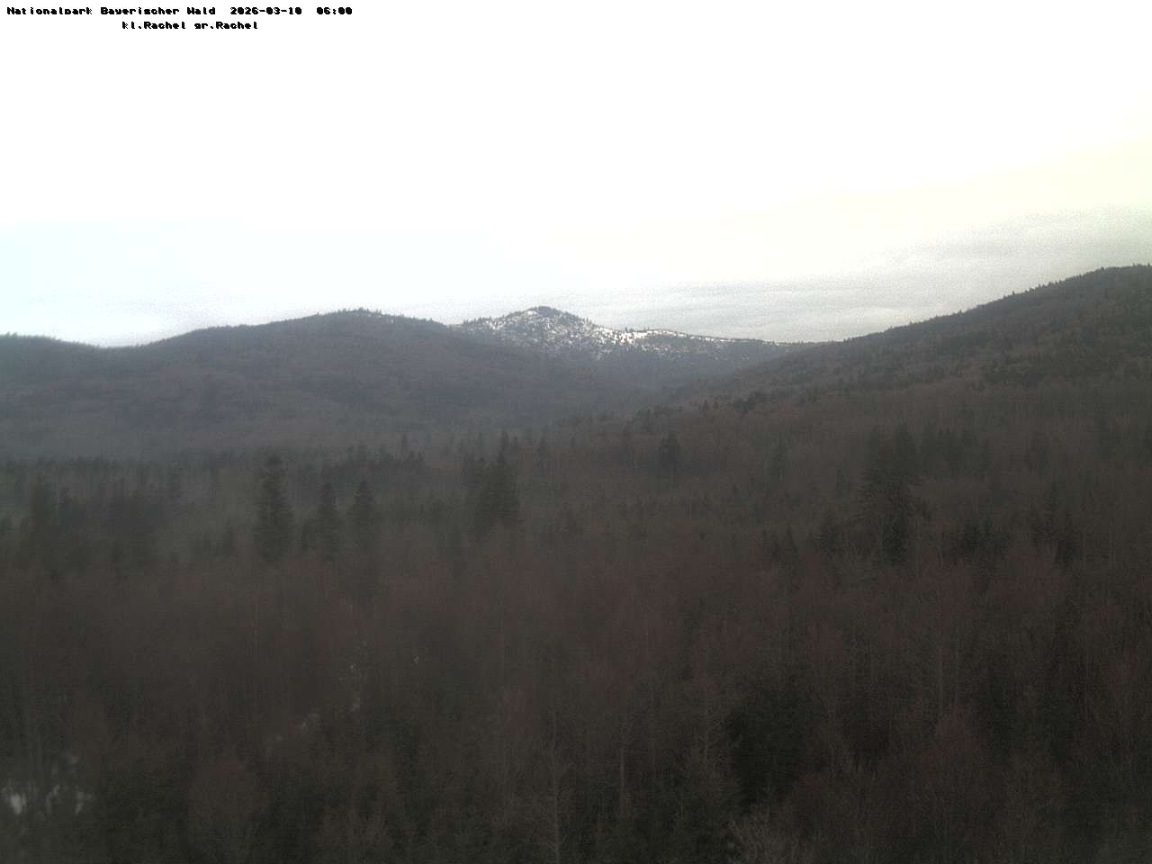 Archiv Foto Webcam Großer Rachel