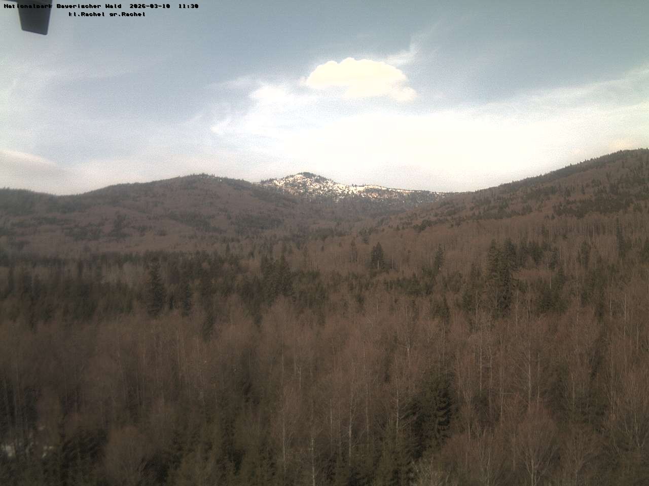 Archiv Foto Webcam Großer Rachel