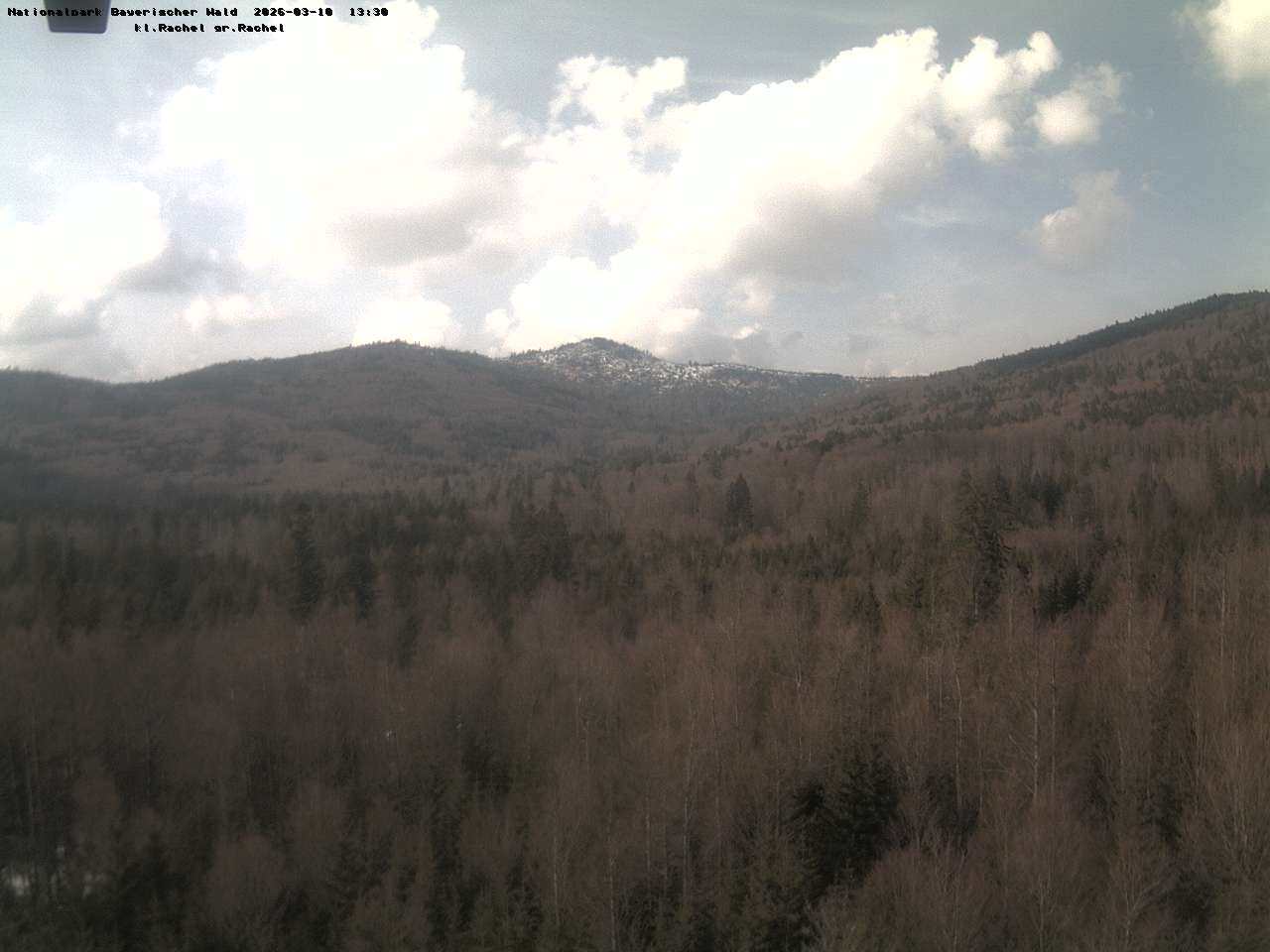 Archiv Foto Webcam Großer Rachel