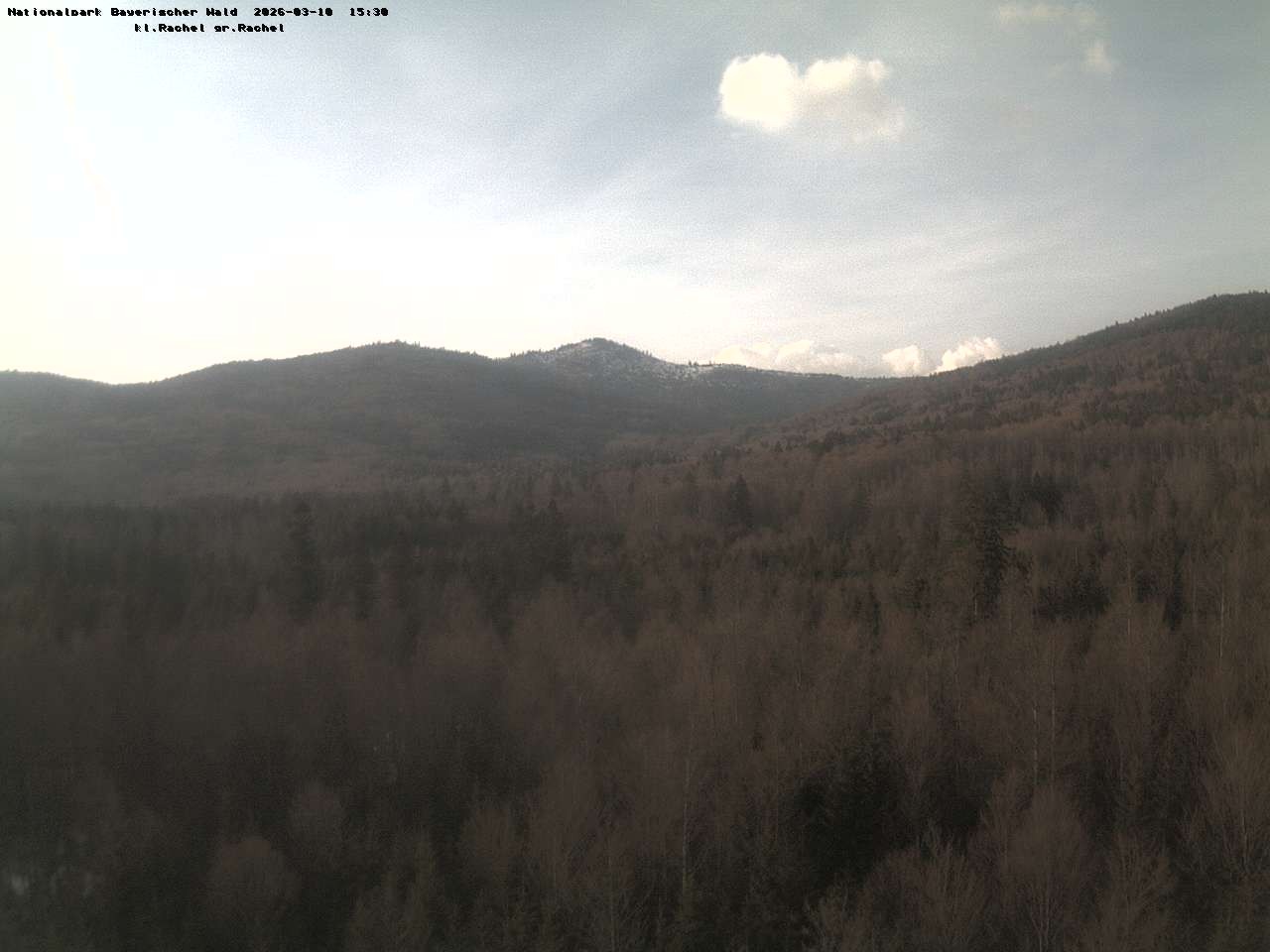 Archiv Foto Webcam Großer Rachel