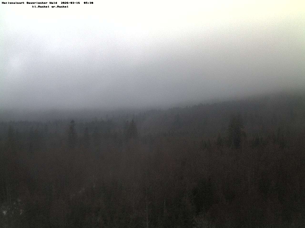 Archiv Foto Webcam Großer Rachel