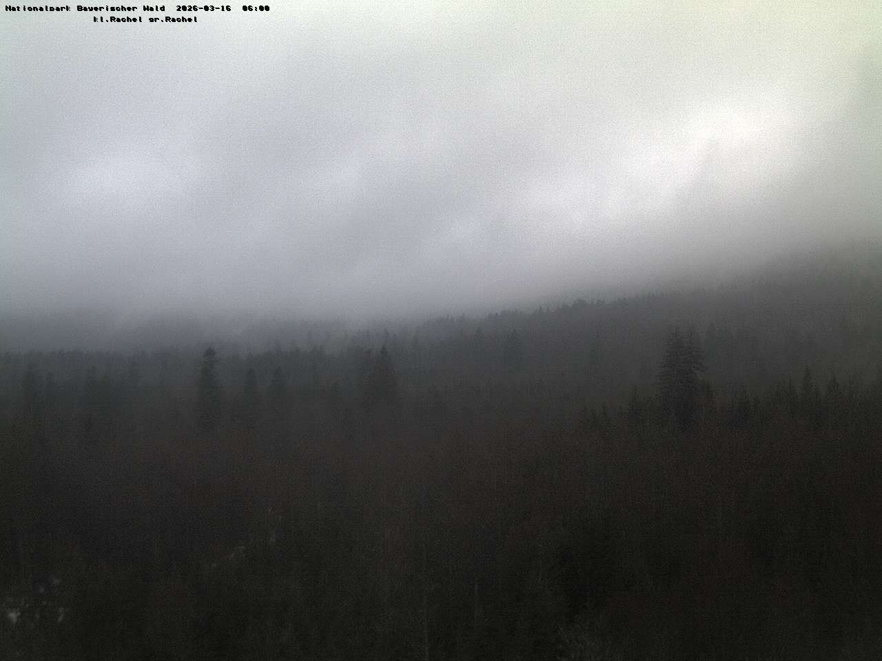 Archiv Foto Webcam Großer Rachel