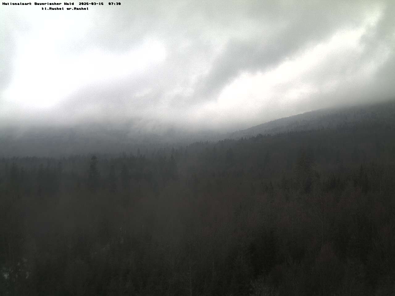 Archiv Foto Webcam Großer Rachel