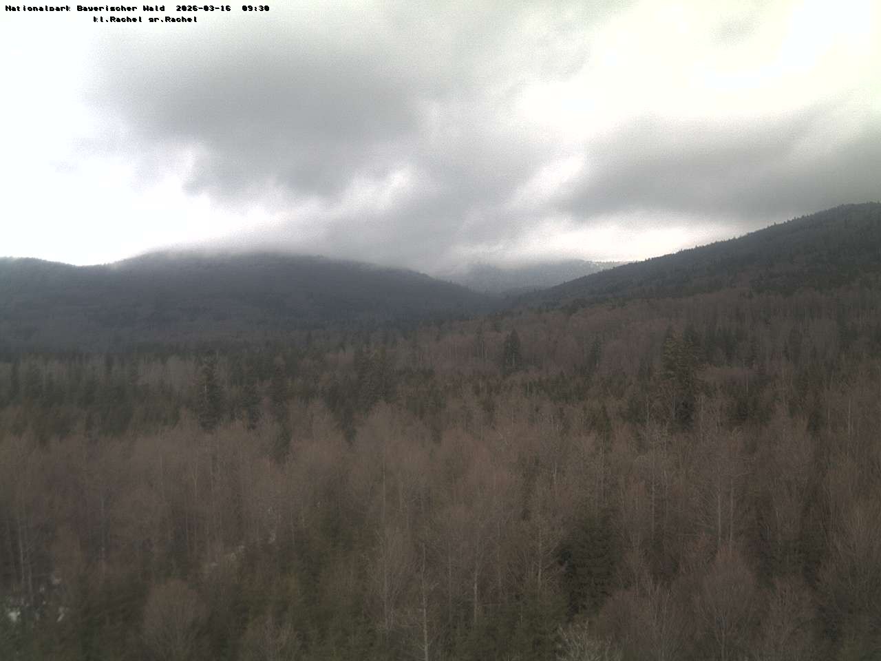Archiv Foto Webcam Großer Rachel