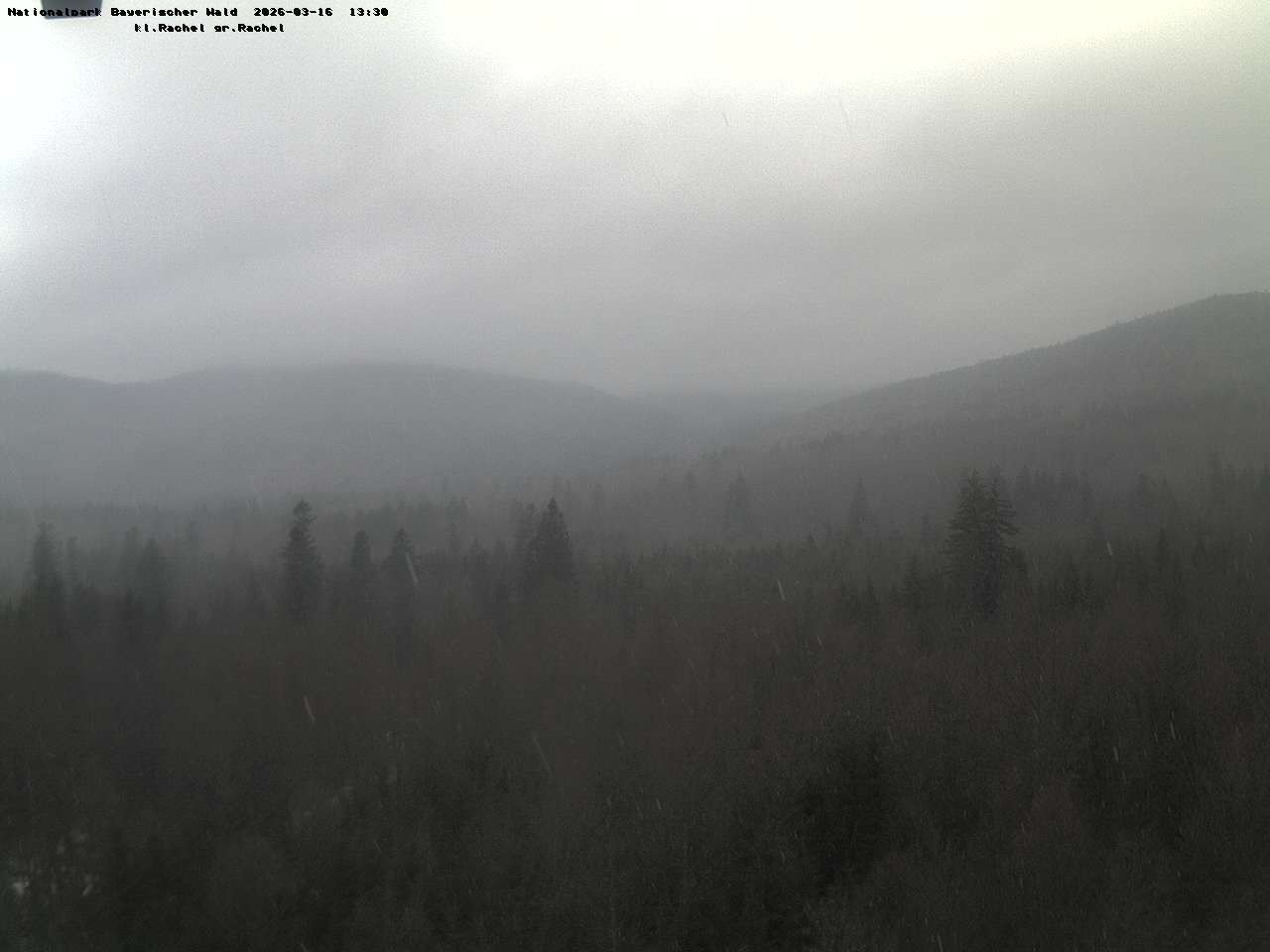 Archiv Foto Webcam Großer Rachel