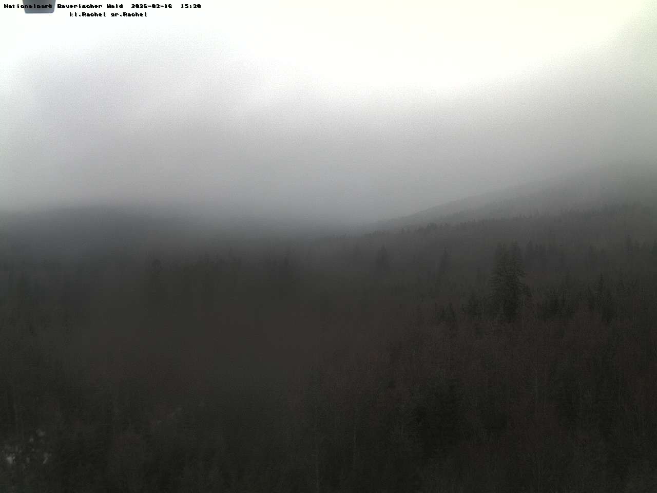 Archiv Foto Webcam Großer Rachel