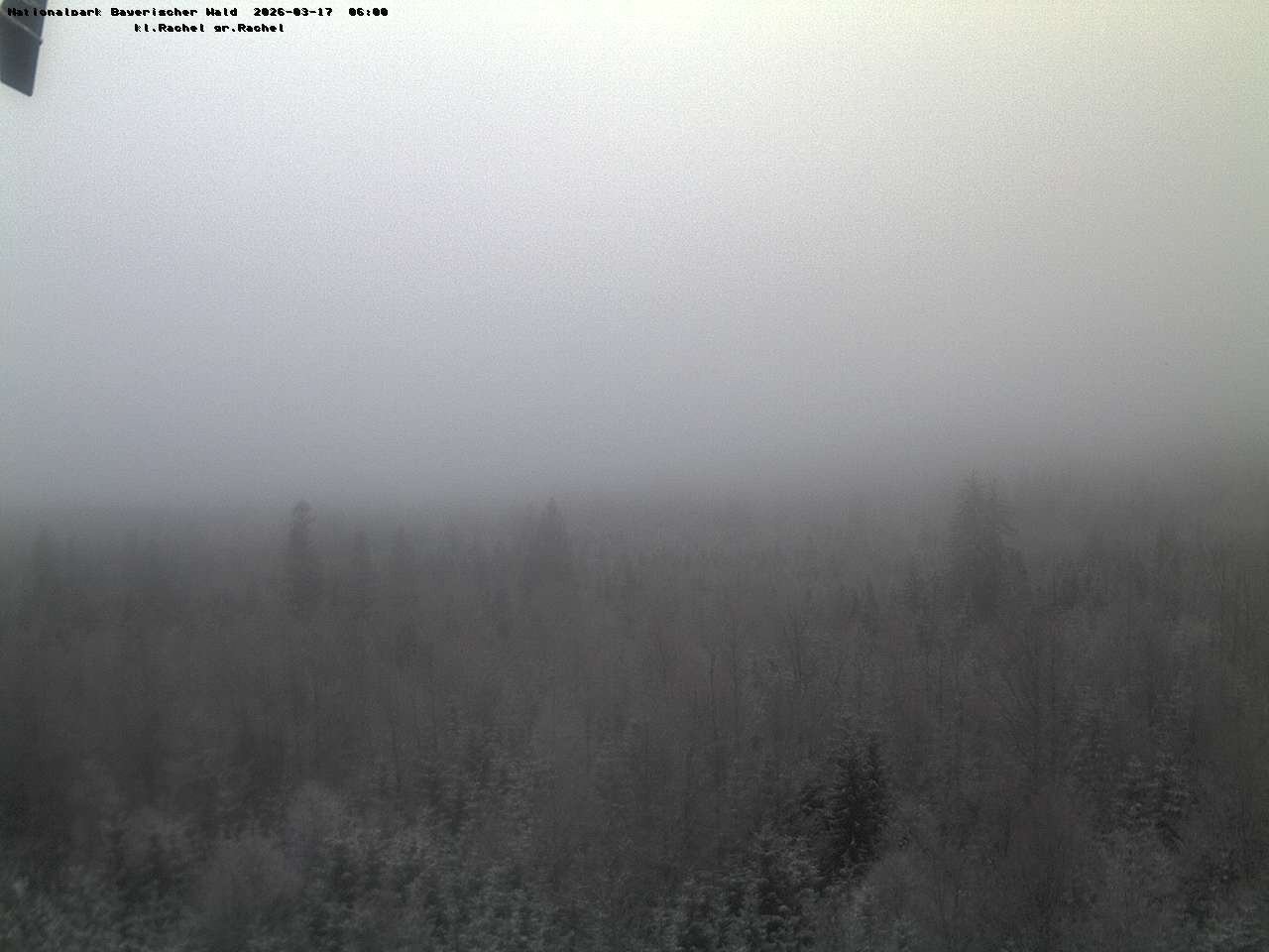 Archiv Foto Webcam Großer Rachel