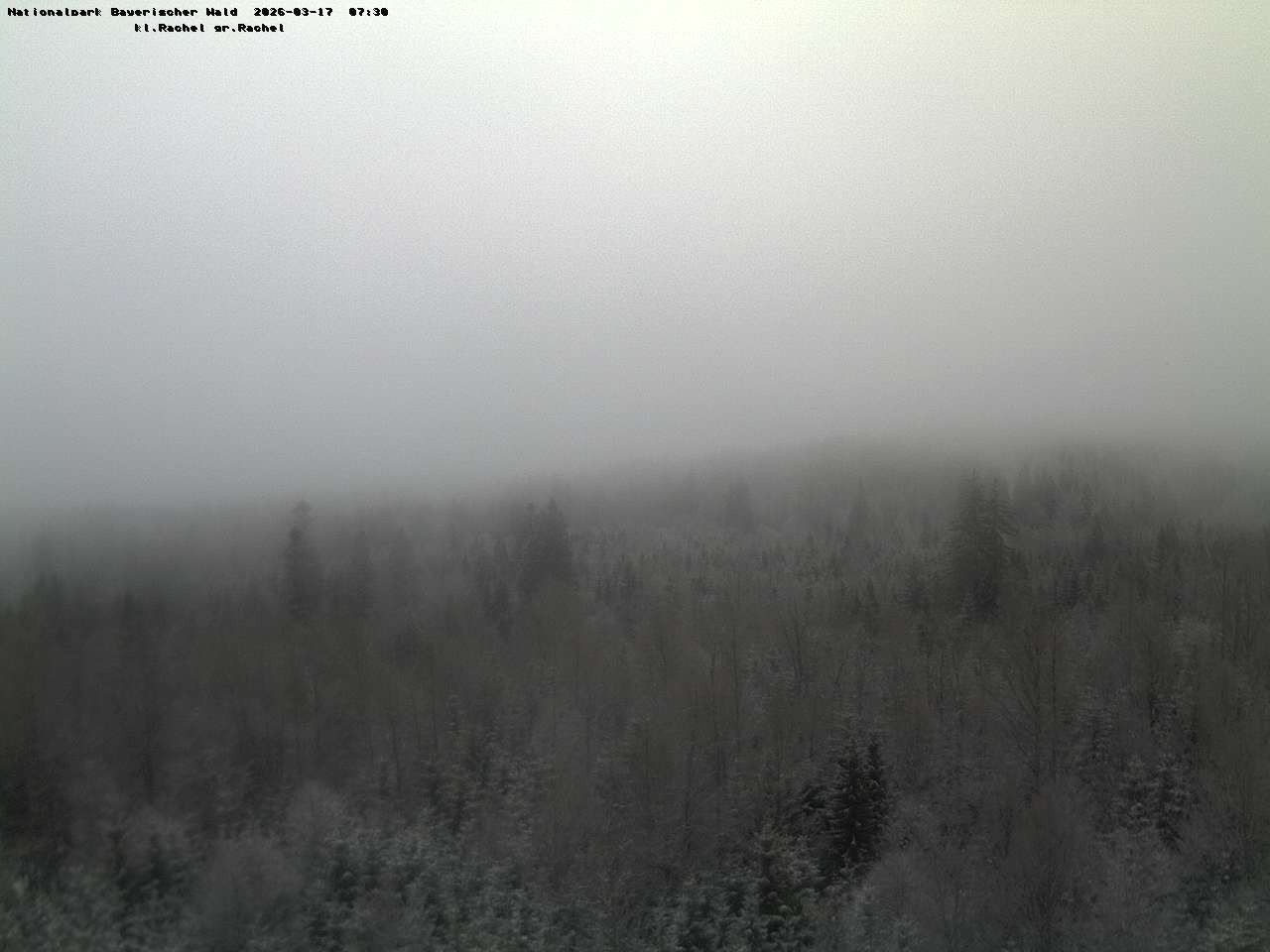 Archiv Foto Webcam Großer Rachel