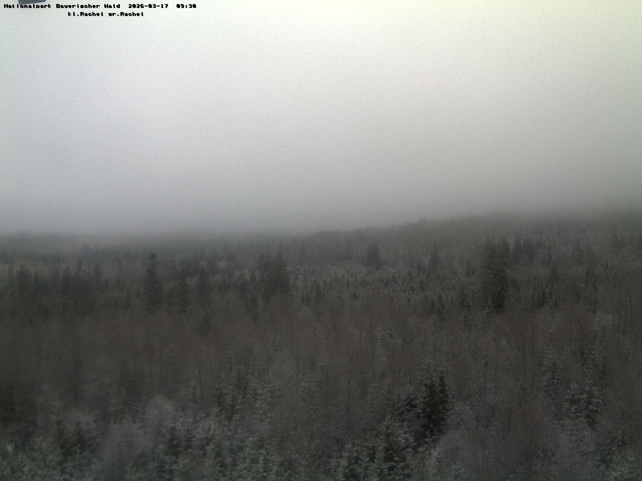 Archiv Foto Webcam Großer Rachel